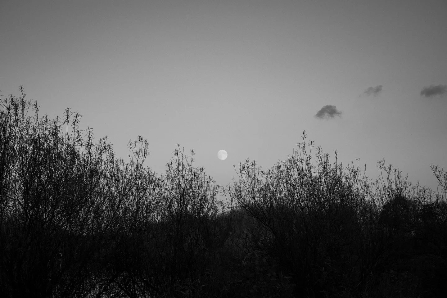 As a part of my third year at @csad_photography, last month I helped host an art auction to fundraise for our graduate degree show happening this June !!

I donated one of my prints to help fundraise and we ended up fundraising over &pound;1400 for o