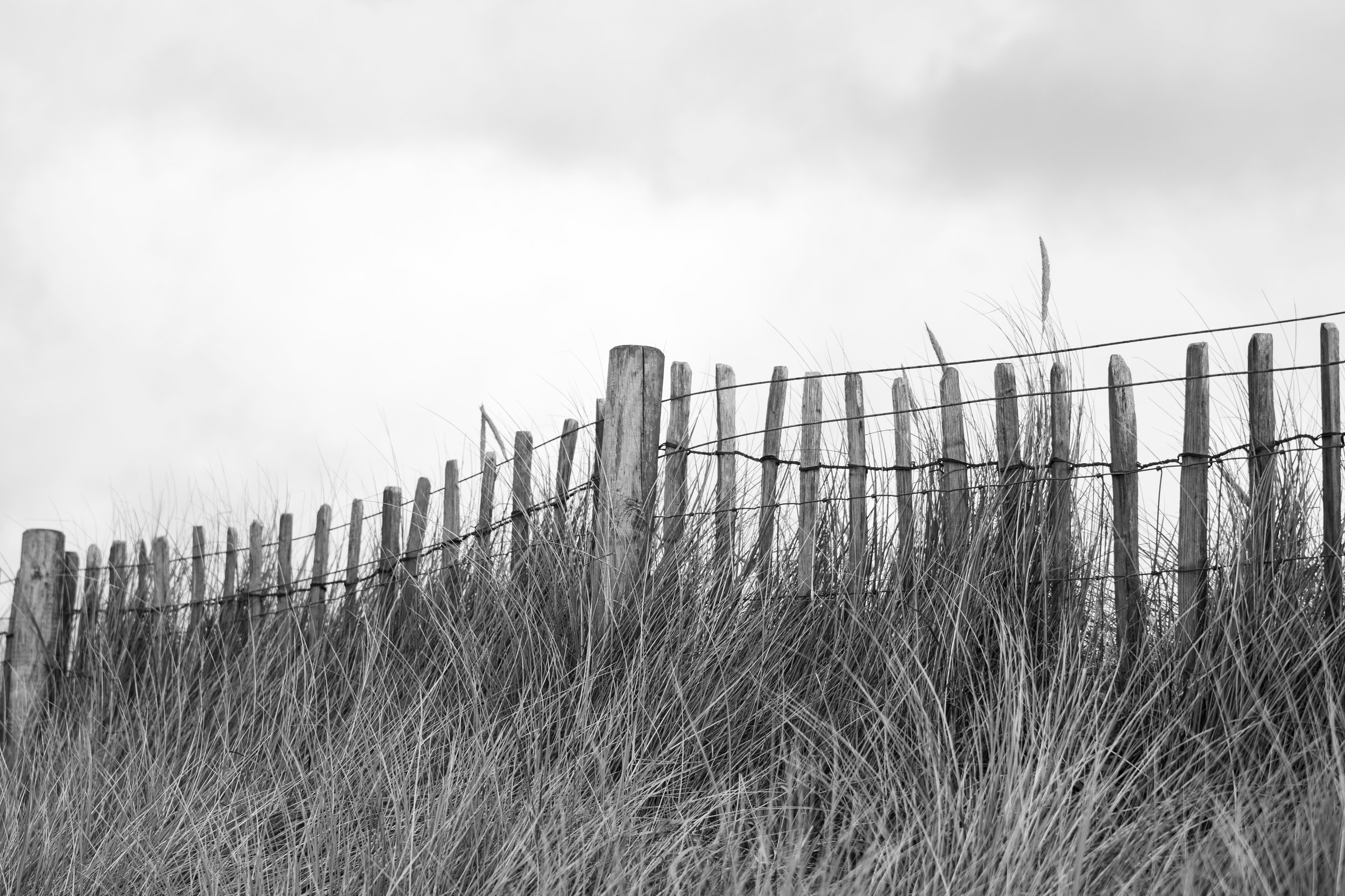 IMG_5840.jpg
