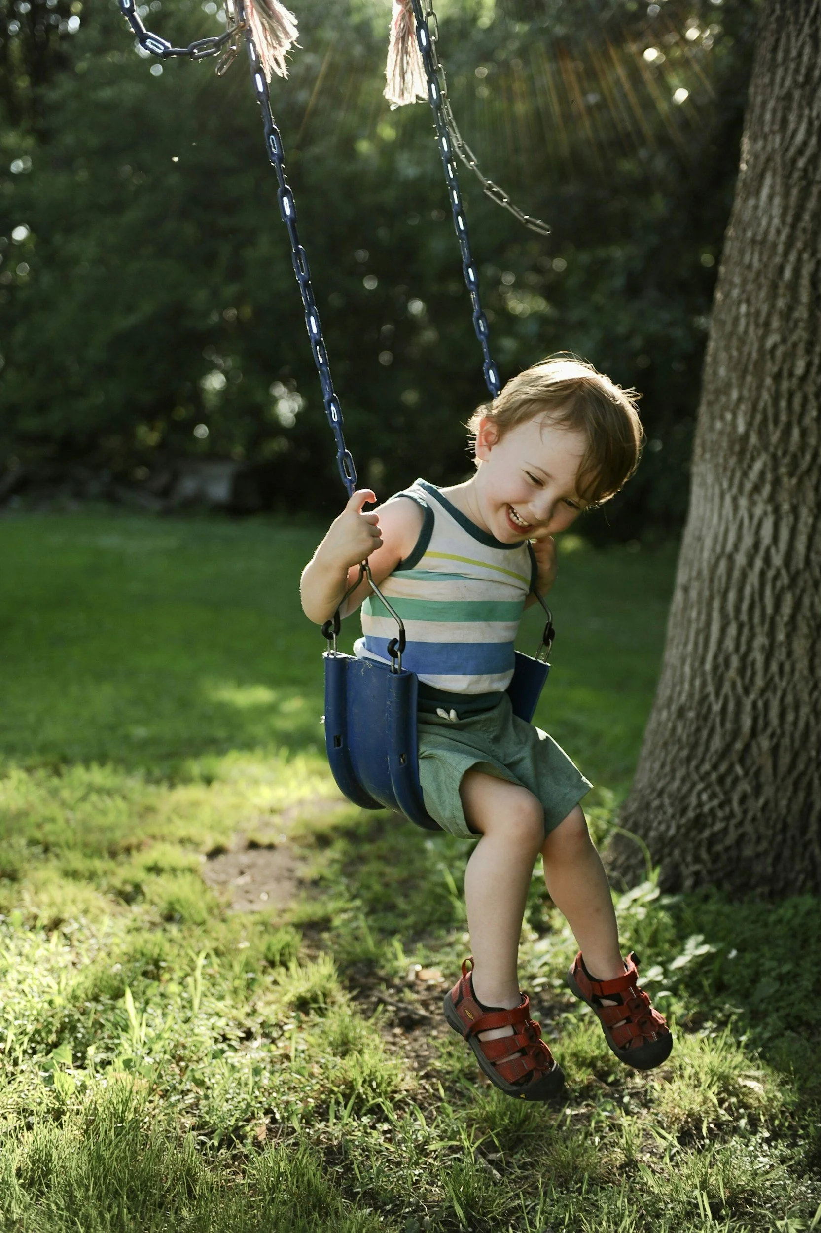 A young boy with brown hair smiling while sitting on a blue swing in a grassy backyard, with a large tree trunk visible in the background and sunlight filtering through leaves.