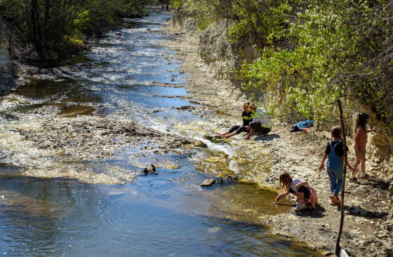 Children and adults exploring along a rocky creek with trees and green foliage on the banks on a sunny day.