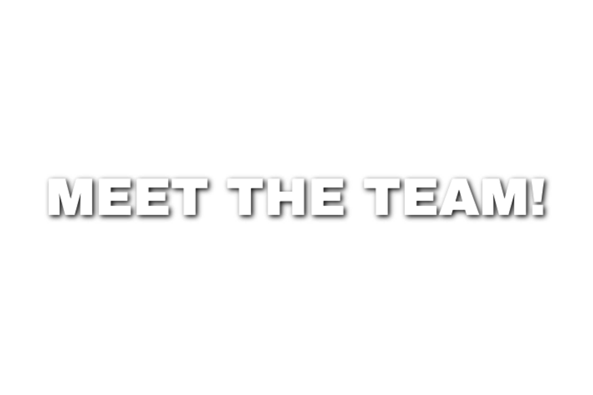 Bold text reading 'MEET THE TEAM!'