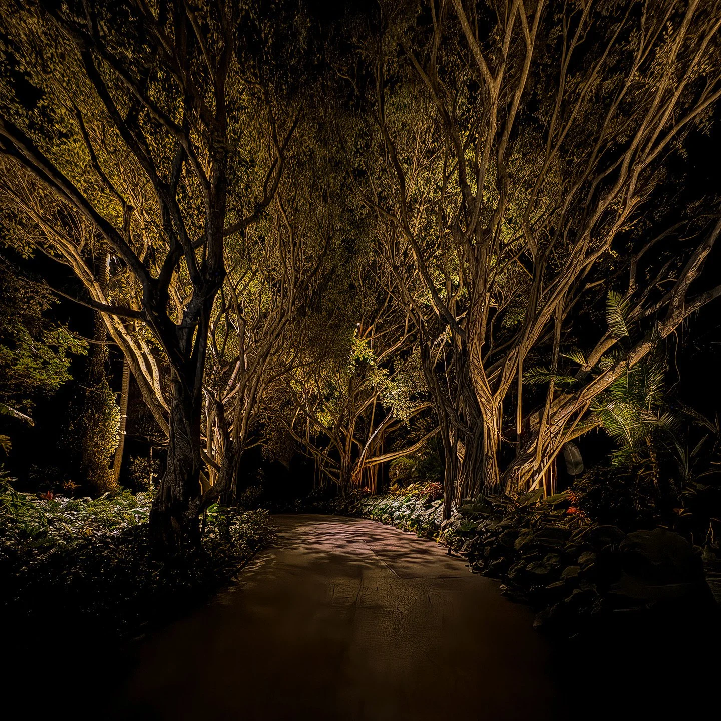 Cain Driveway 2024.jpeg