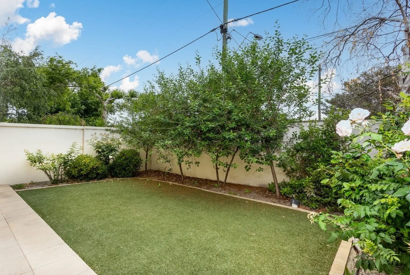 front yard.jpg
