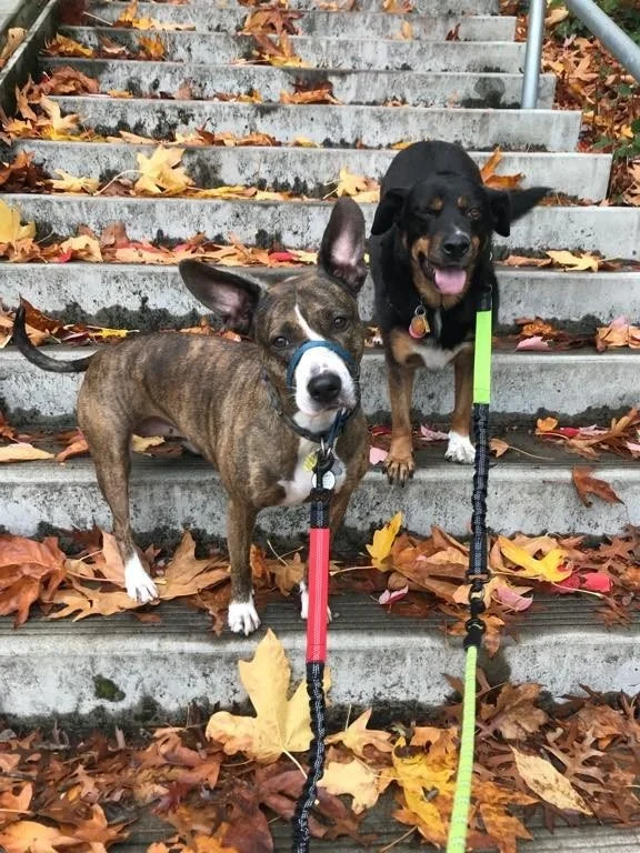 boots and hildy.jpeg