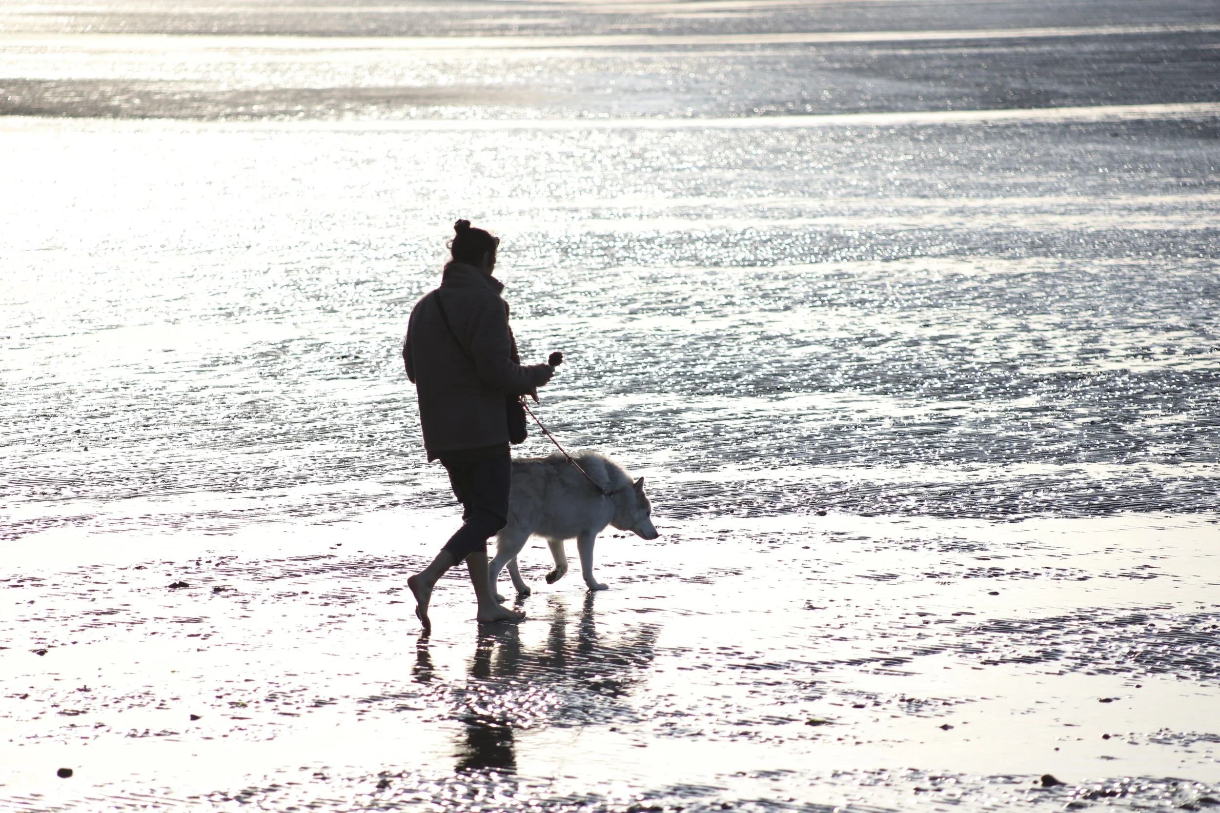 A person walking a dog along a beach at sunset with the water reflecting the sky.
