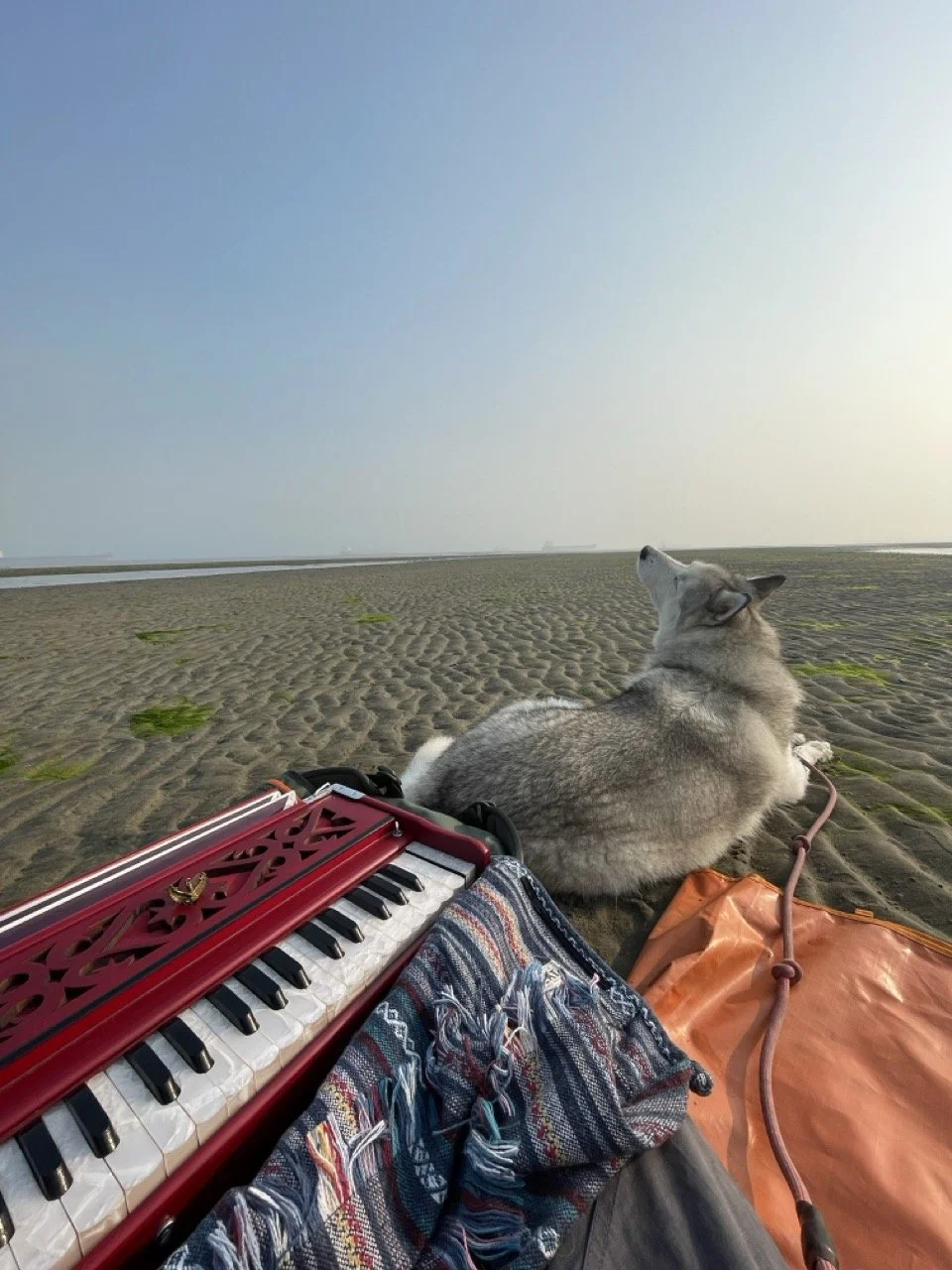 Beach scene with a Siberian Husky lying on the sand next to a colorful blanket, a red small keyboard, and a brown bag. The Husky looks towards the distant horizon as the sun sets or rises, creating a peaceful atmosphere.
