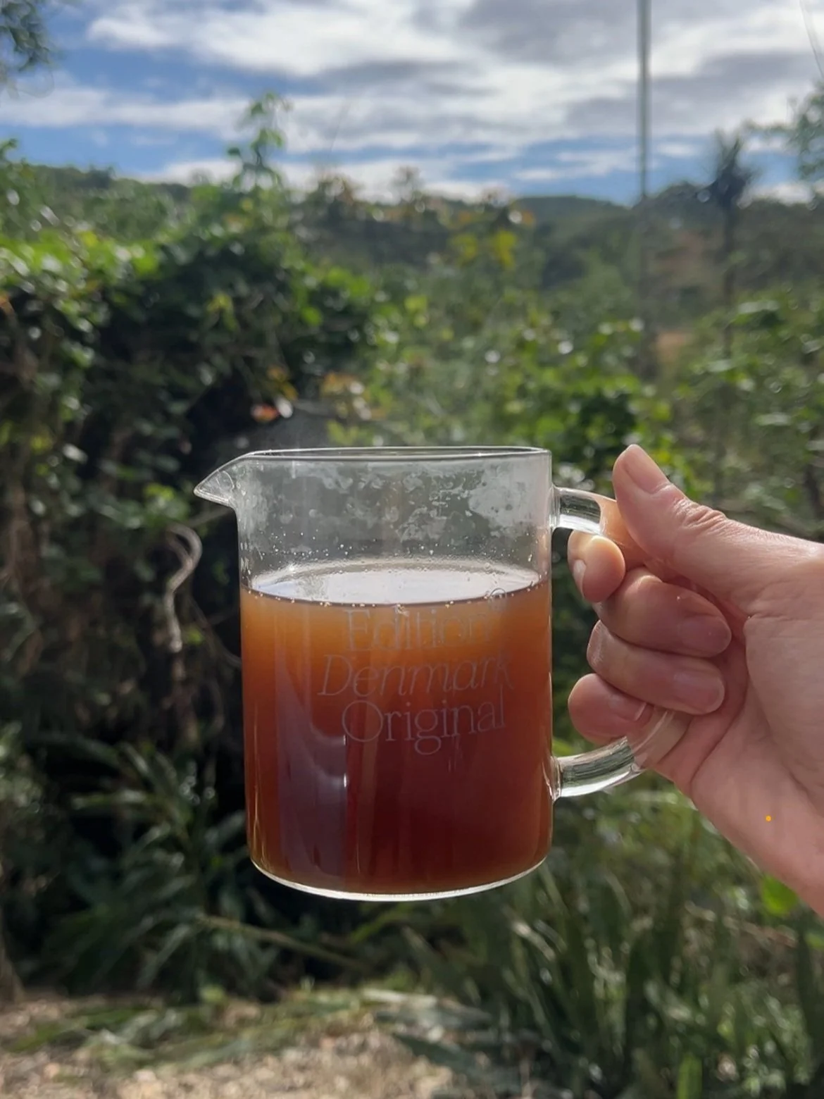 Hand holding a glass cup with coffee outdoors, lush greenery in background.