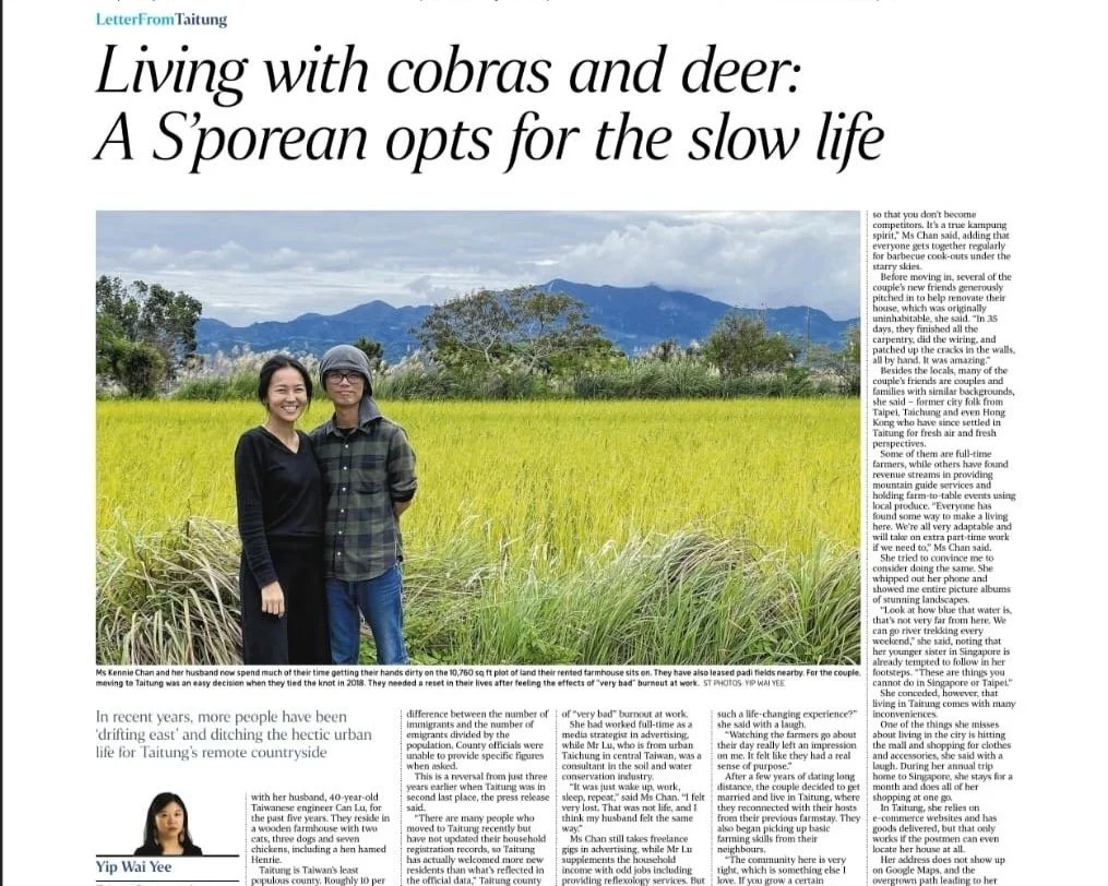 Image of a newspaper article titled "Living with cobras and deer: A S’porean opts for the slow life." It features a photograph of a smiling couple standing in a green field with mountains in the background. The article discusses people moving to Taitung's remote countryside for a simpler lifestyle.
