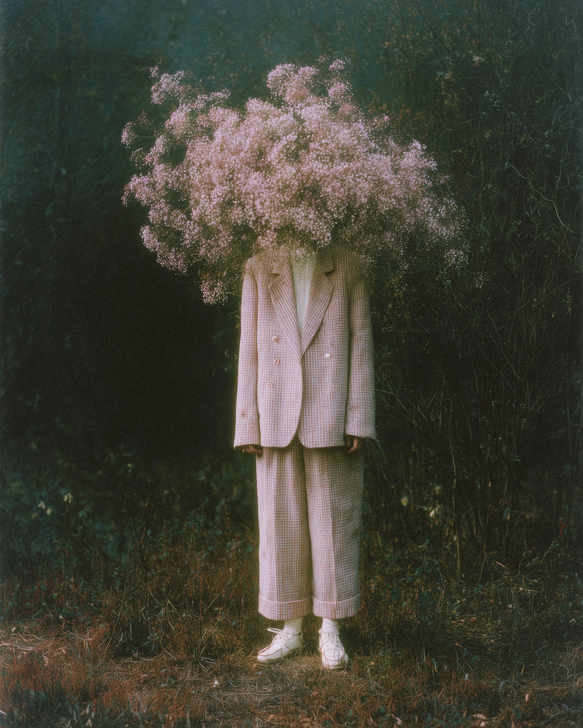 A person in a plaid suit with a flower bouquet as a head, standing outdoors in a natural setting.