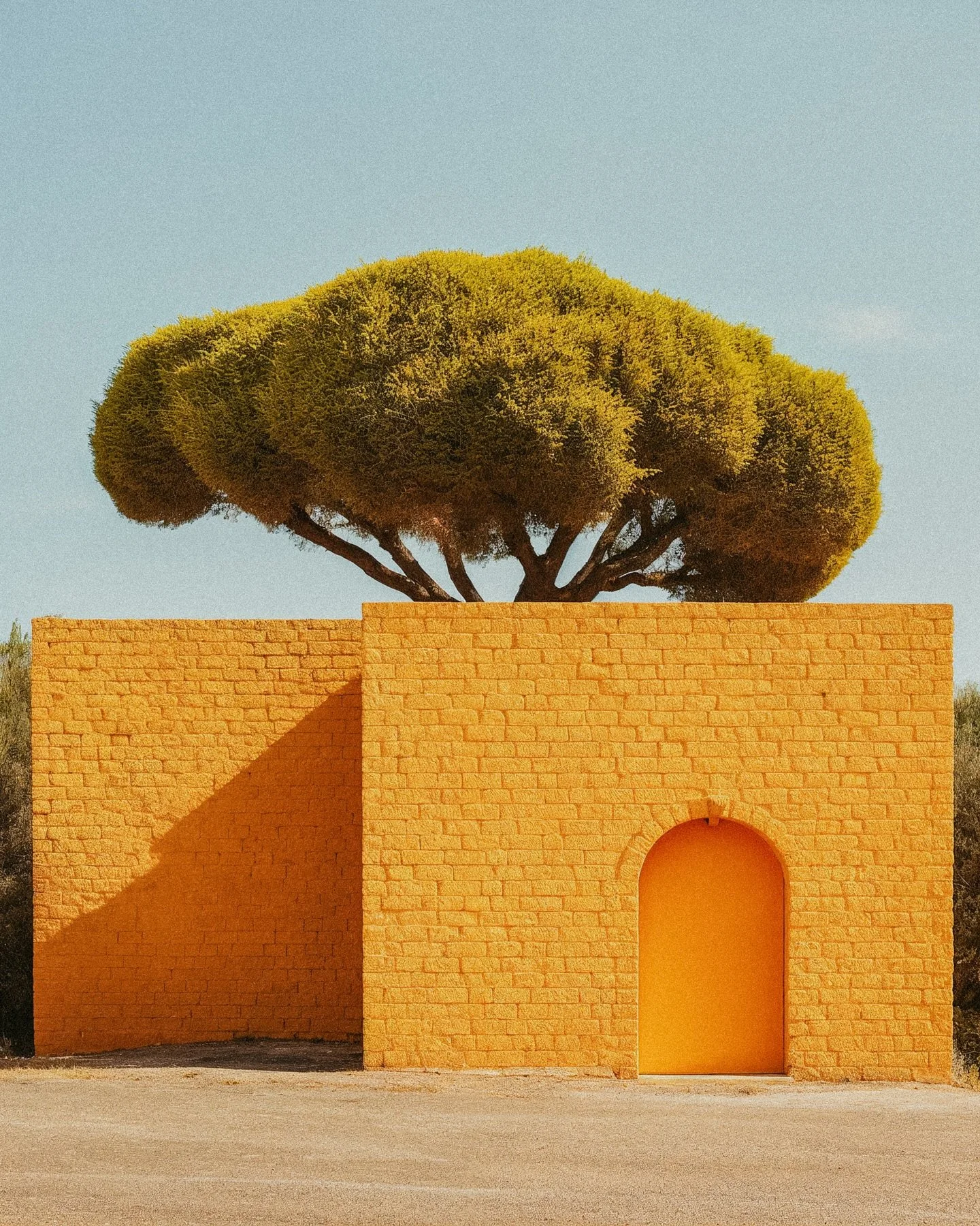 A yellow brick building with an arched doorway and a large, rounded tree growing on top of it, against a clear blue sky.