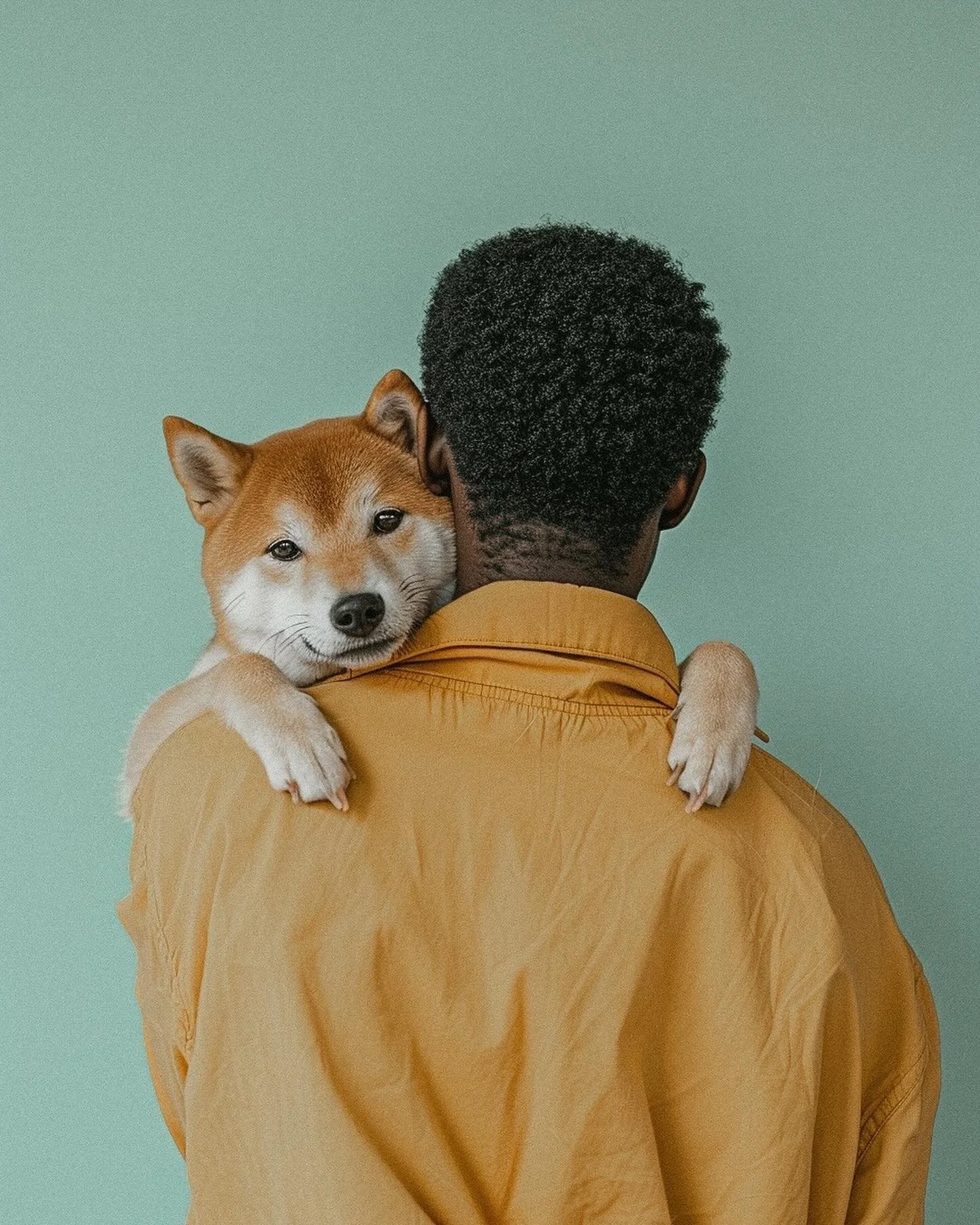 A person with short curly hair holding a Shiba Inu puppy on their shoulder against a plain green background.