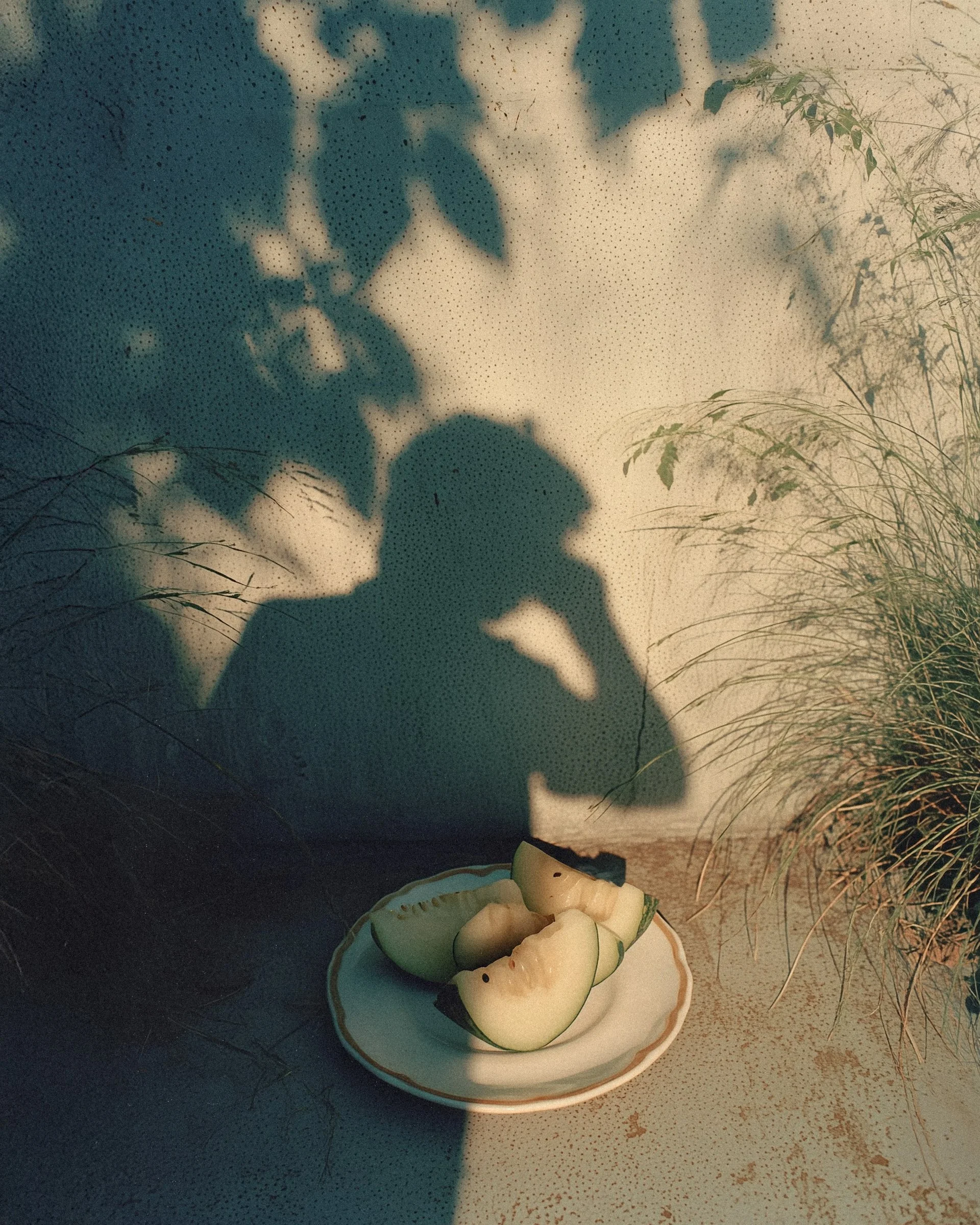 summer-01.JPG