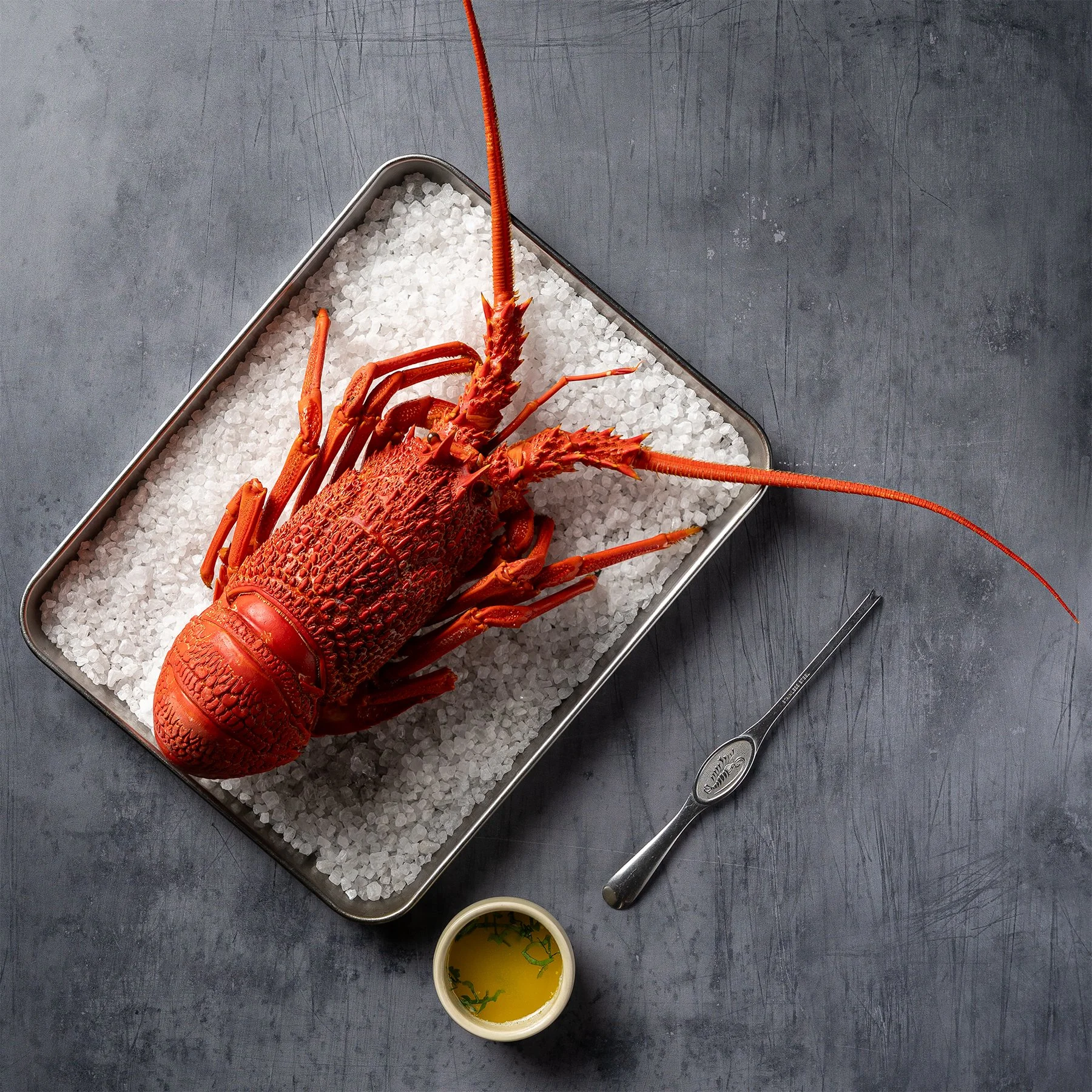 RichmondOysters_RetailFreshFish_Photoshoot-279-Edit_LOBSTER_LowRes.jpg