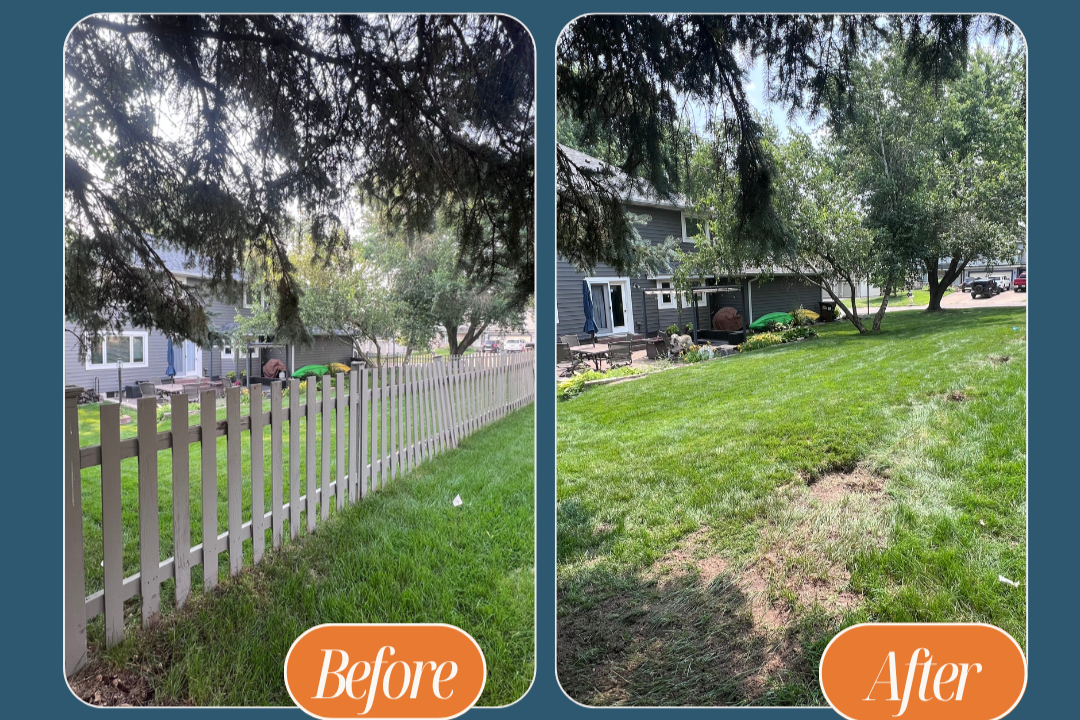 Side-by-side comparison of a backyard before and after yard work. The 'before' shows overgrown grass and a white picket fence, partially shaded by trees. The 'after' shows a cleaned-up lawn with shorter grass, less clutter, and clearly visible house 