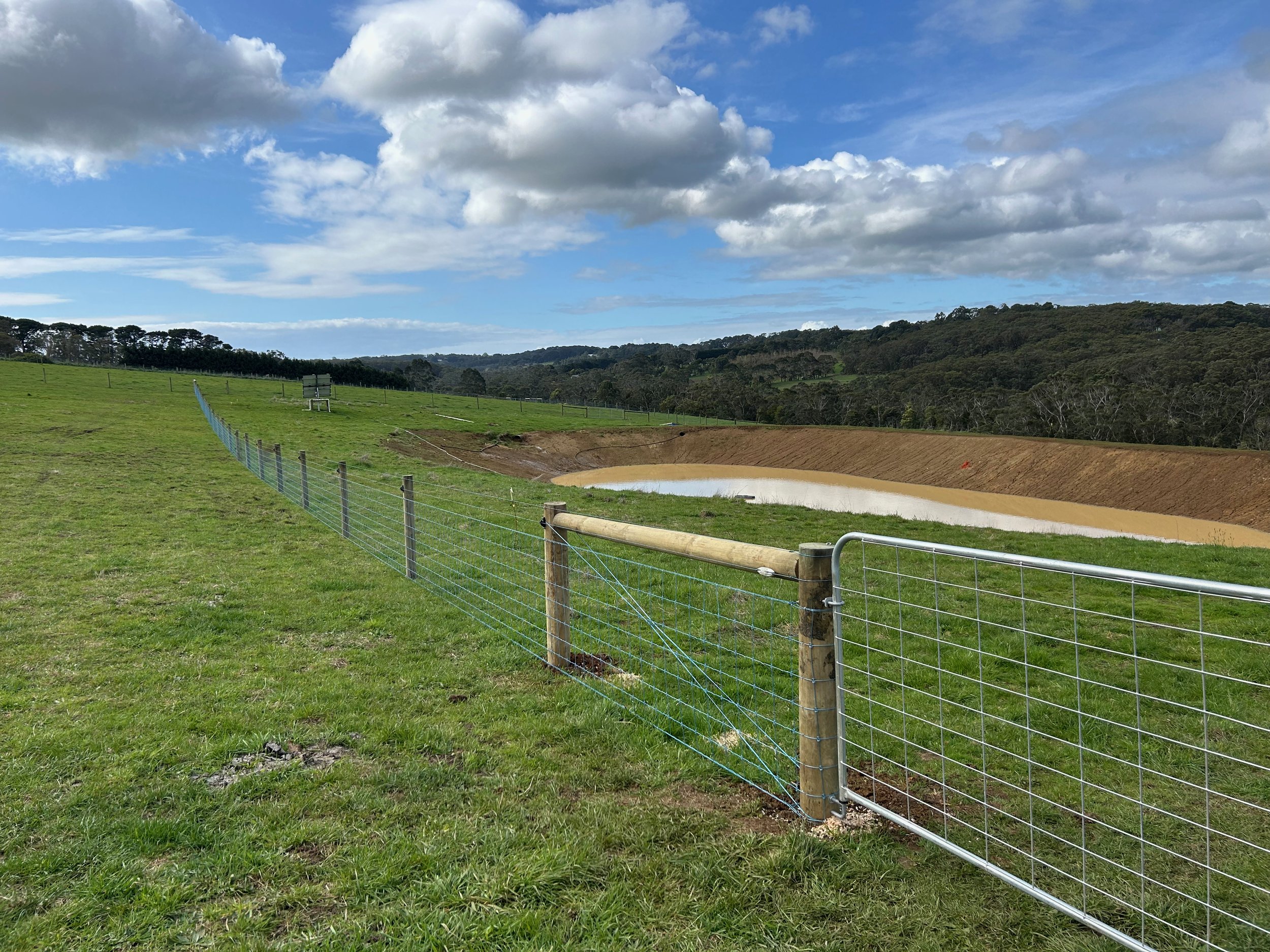 Cattle Fencing