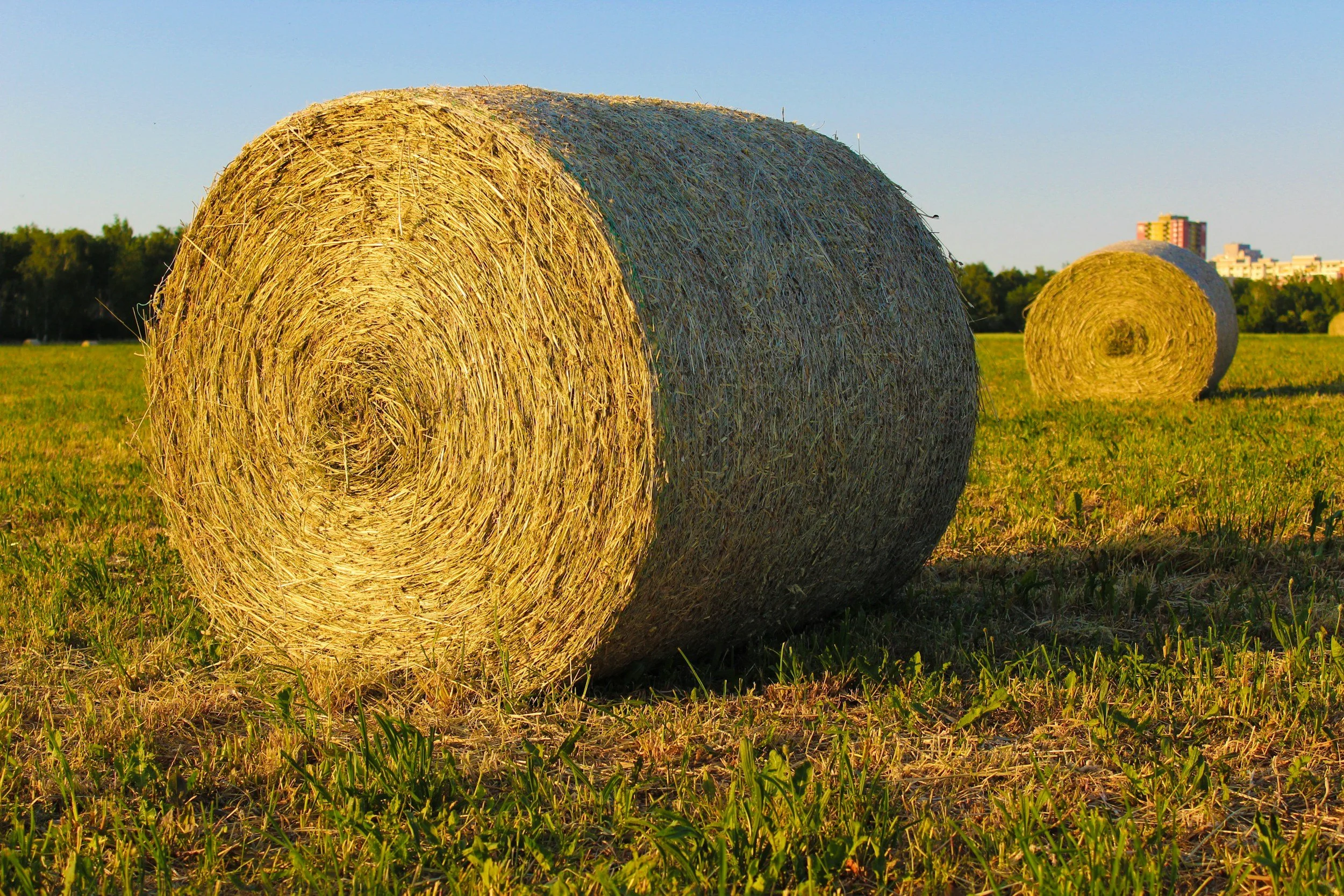 Two large hay bales in a green field during daylight with a city skyline in the background.