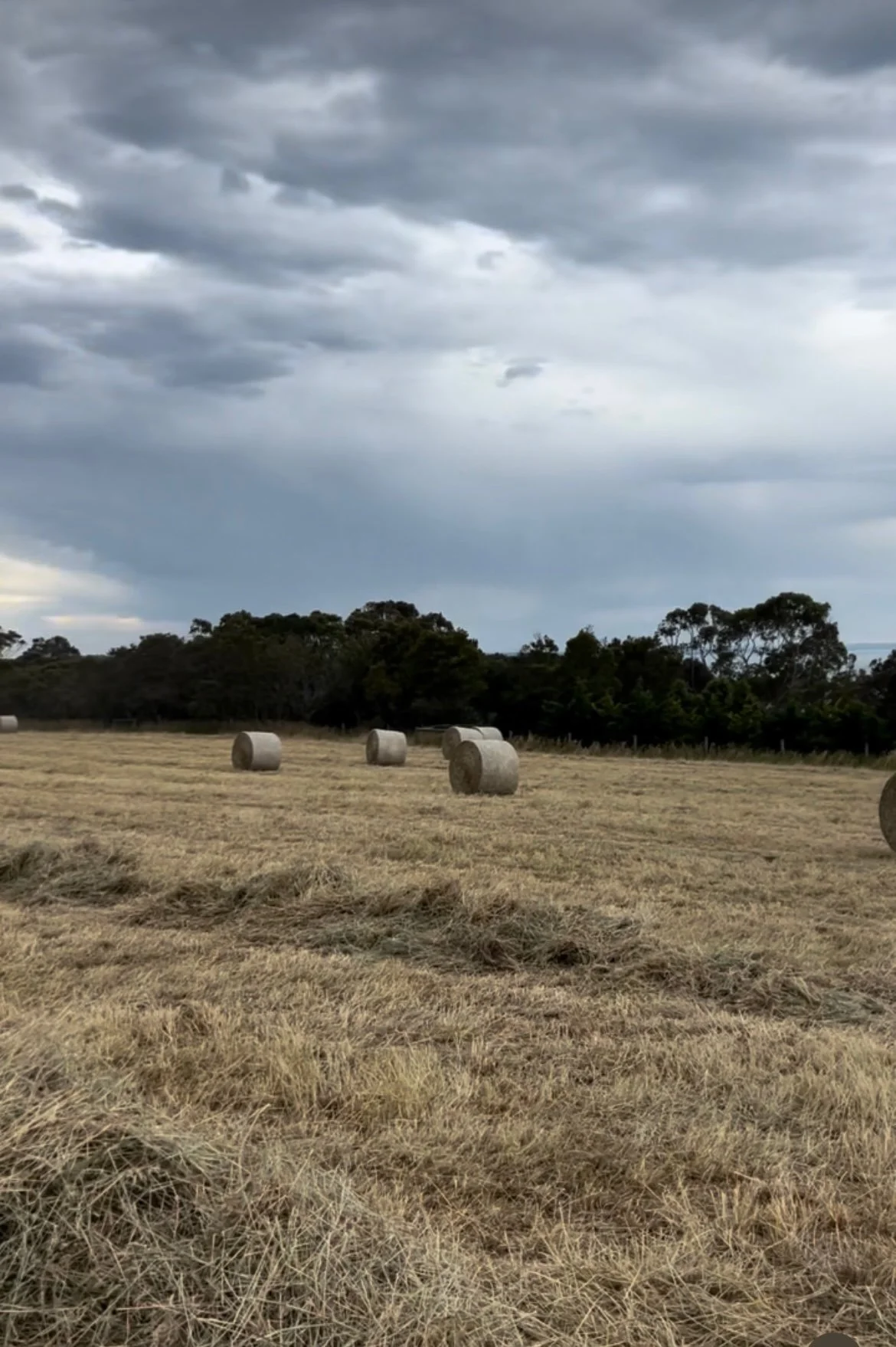 A rural field with hay bales scattered across the land under a cloudy sky.