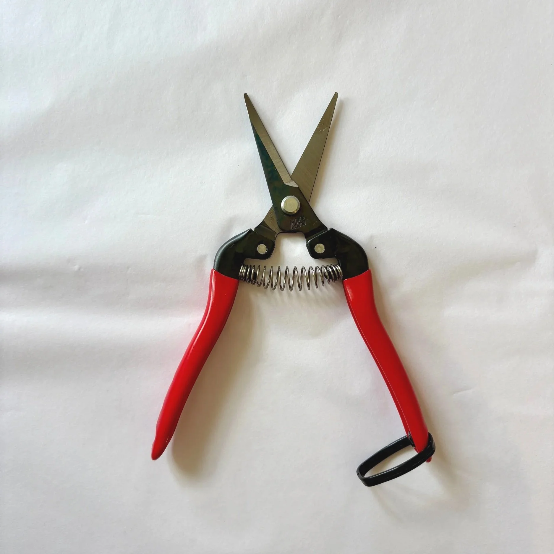 1BEBE0FE-F659-4EBB-AED5-783D84FEF6AE.jpg