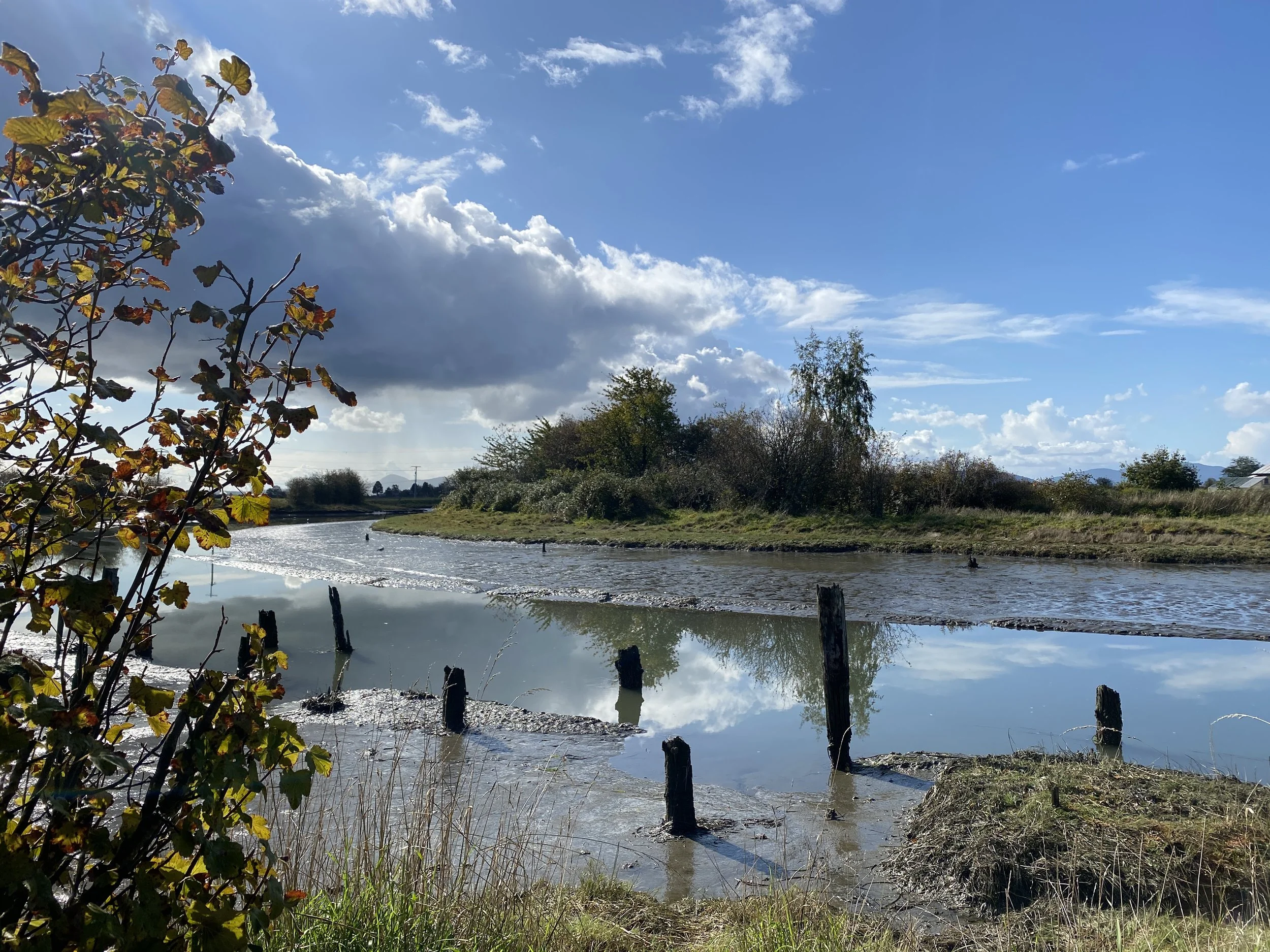 The Go Outside Restaurant Guide: Bow Edison