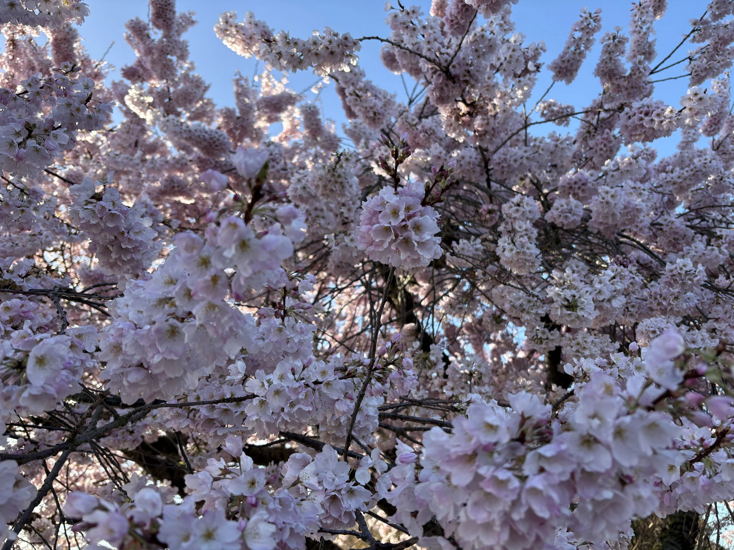 March Favorite Things