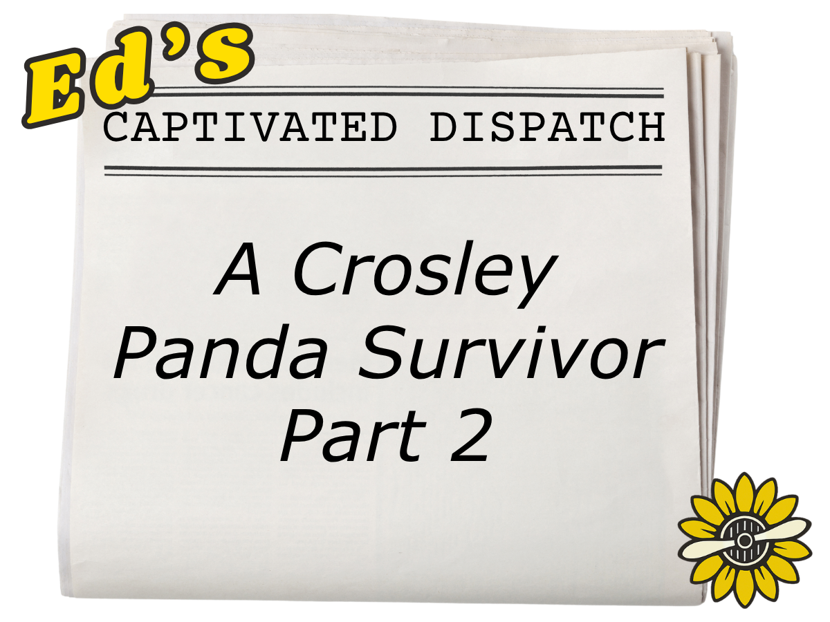July 2026-A Panda Survivor - Part Two