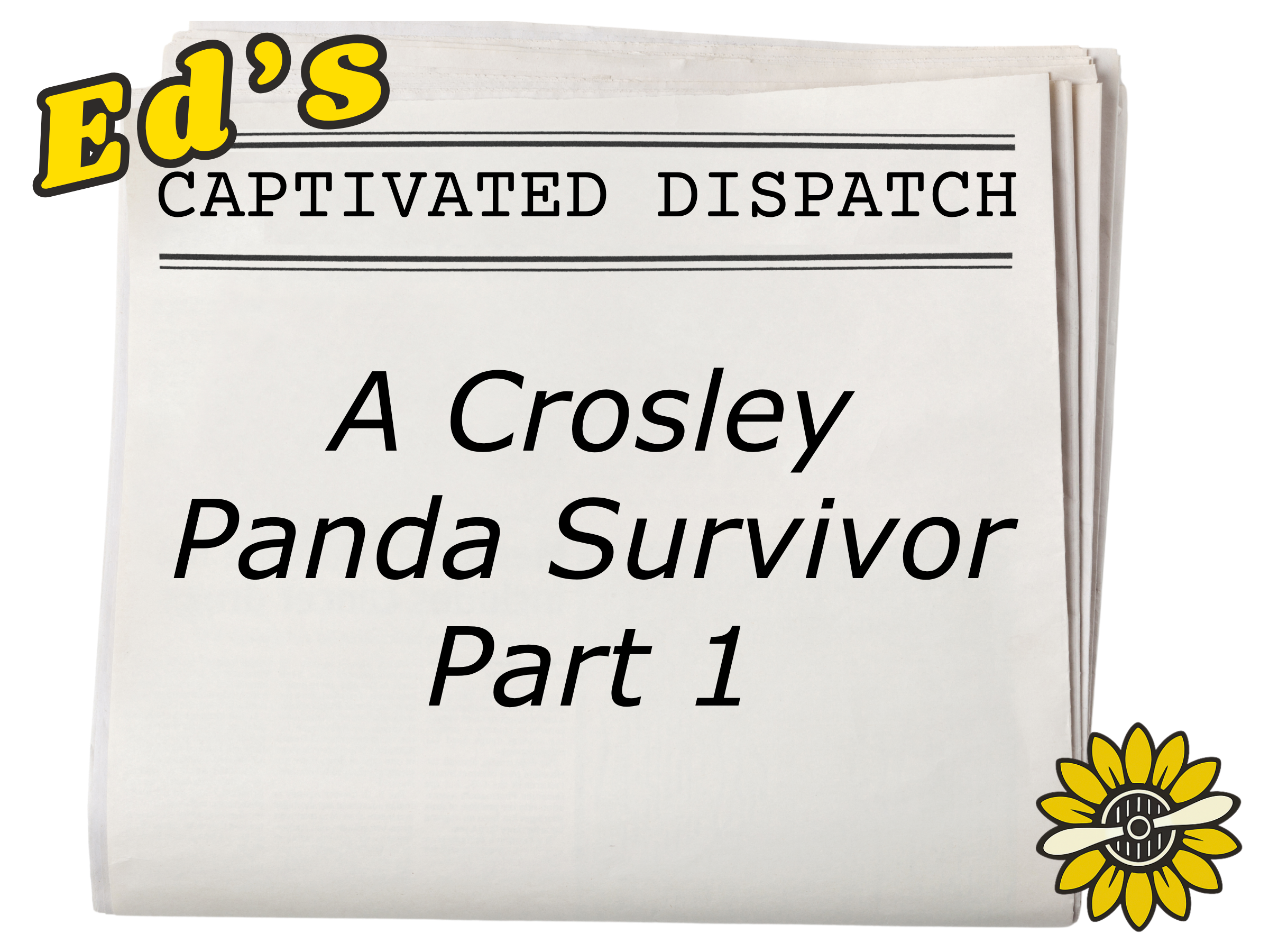 June 2026-A Panda Survivor