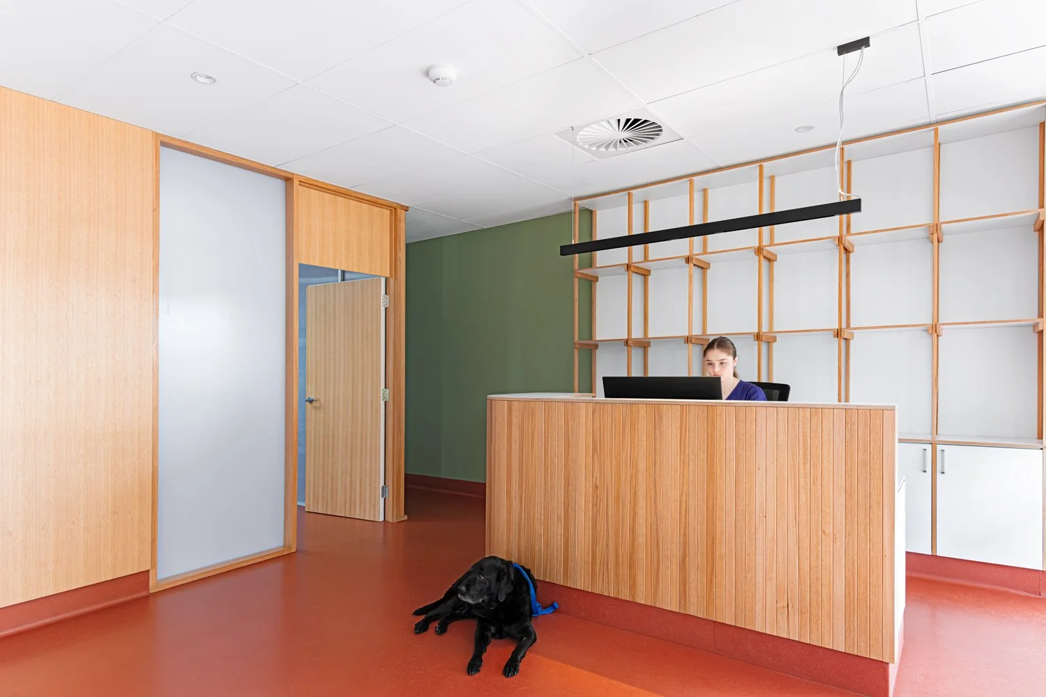 Vet reception area in Blackwood. Red floor, green wall and wooden birch and white coloured furniture and doors. There is a dog on lying on the floor and a receptionist behind the wooden counter.