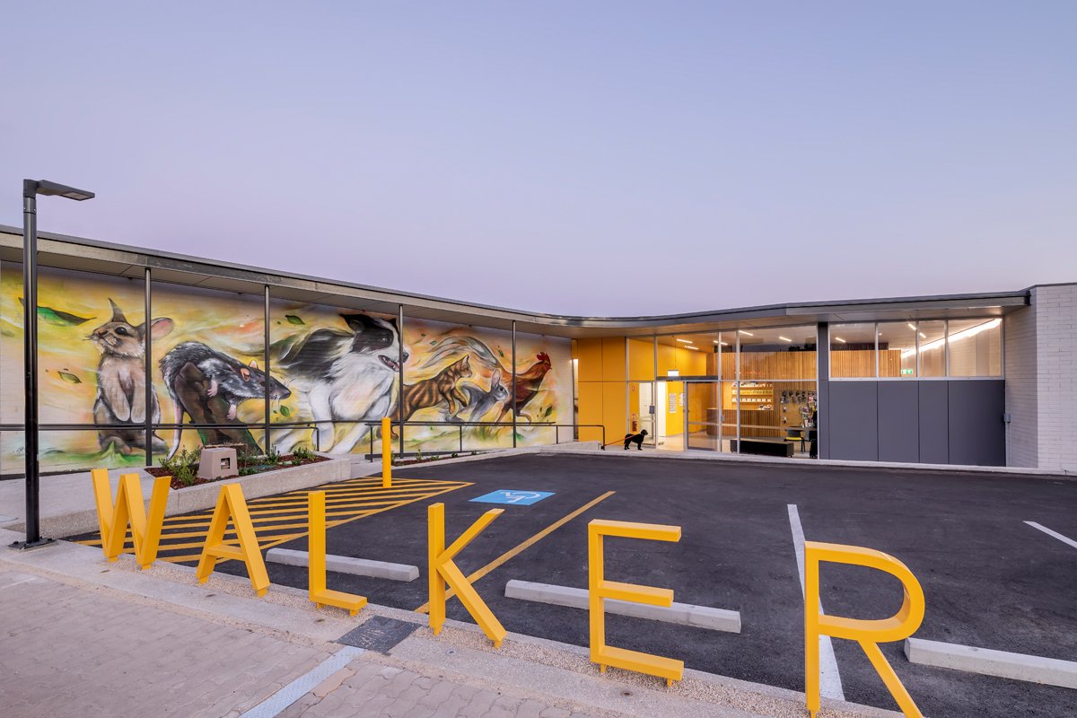 Walkerville Vet entrance area including parking area. The wall on the left hand side is painted with animals and in the front "Walker" is written in yellow 3D lettering.