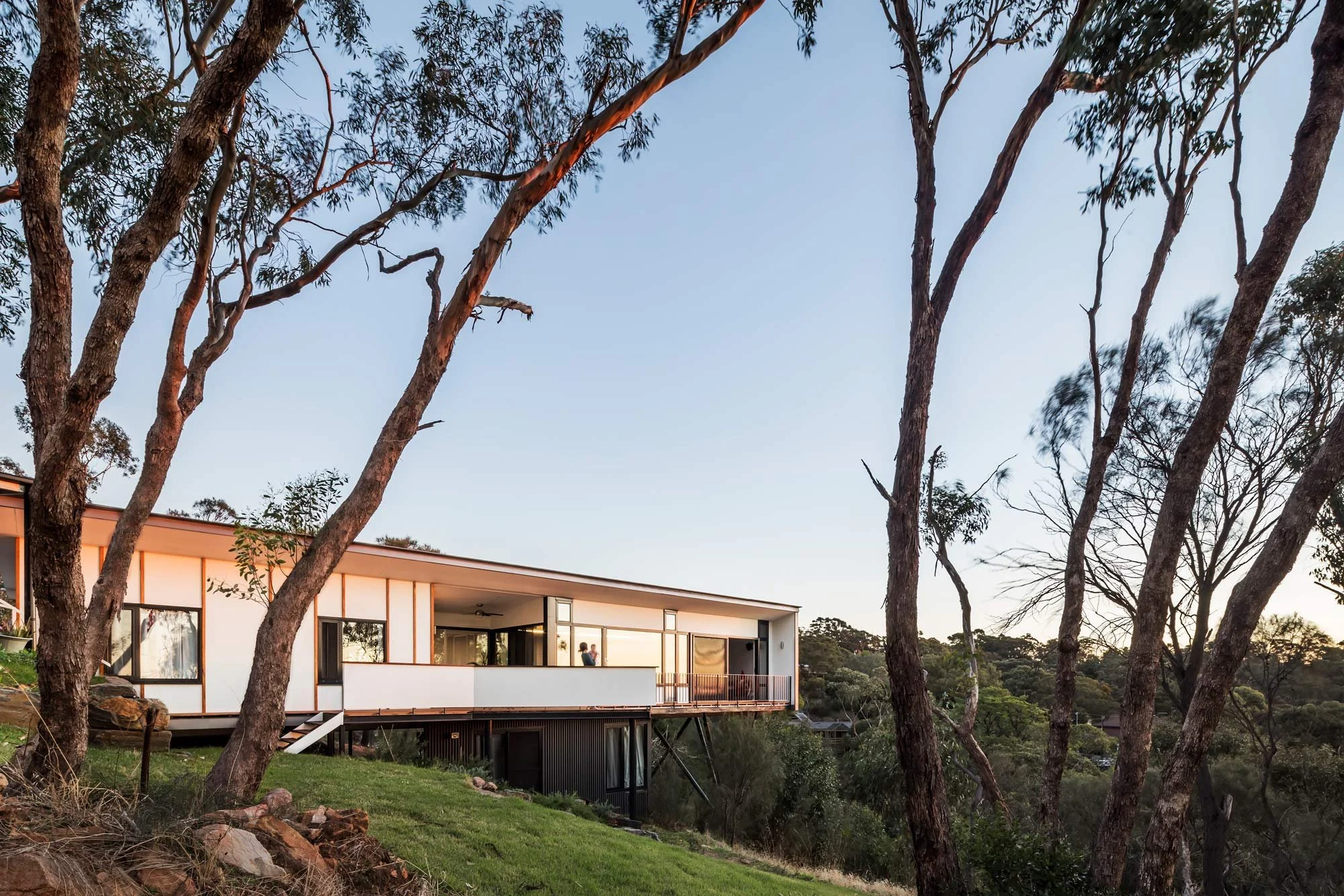 A white, modern flat-roofed house built on stilts, surrounded by tall gum trees and dense Australian bush.