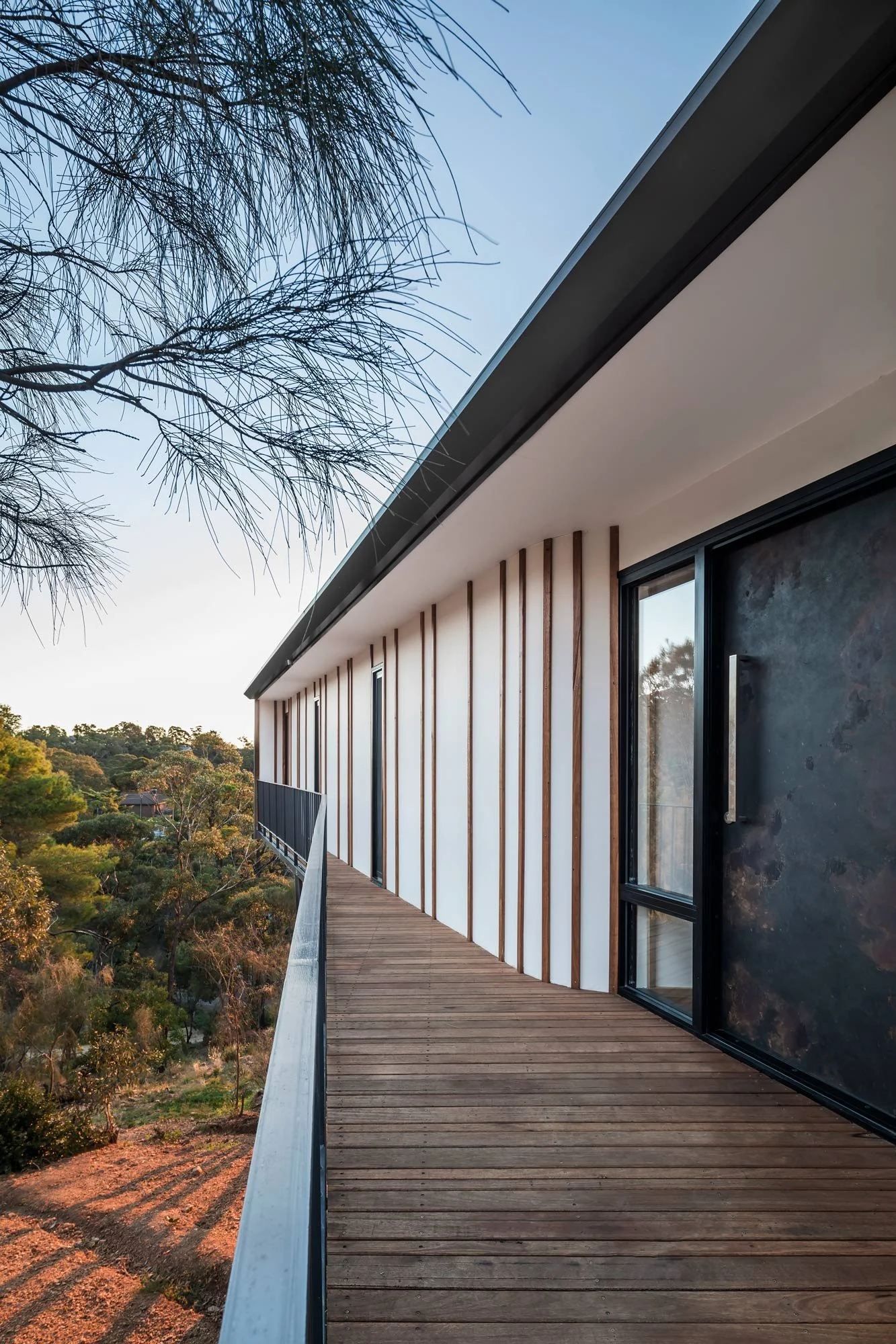 A perspective view along the white facade of a modern house on stilts. The balcony balustrade creates a leading line toward the Australian bush, while the fine needles of a Sheoak tree frame the sky, emphasising the architectural lines.