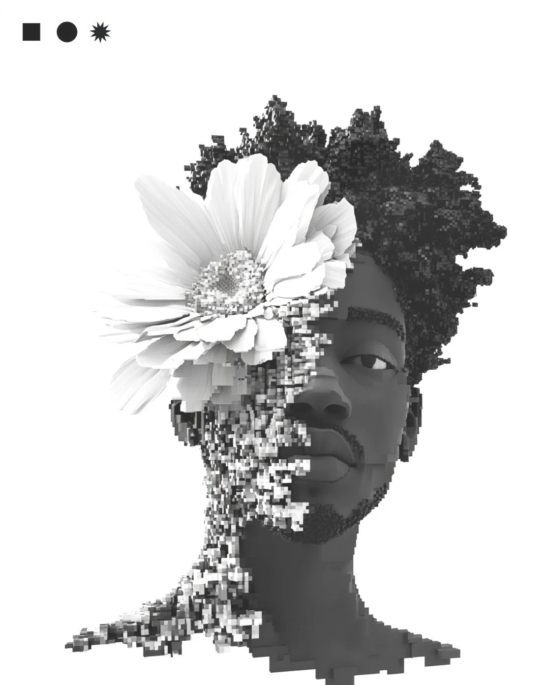 Imagem digital de retrato de uma mulher estilizada com partes pixeladas, uma flor grande cobre um olho, cabelo afro, fundo branco.