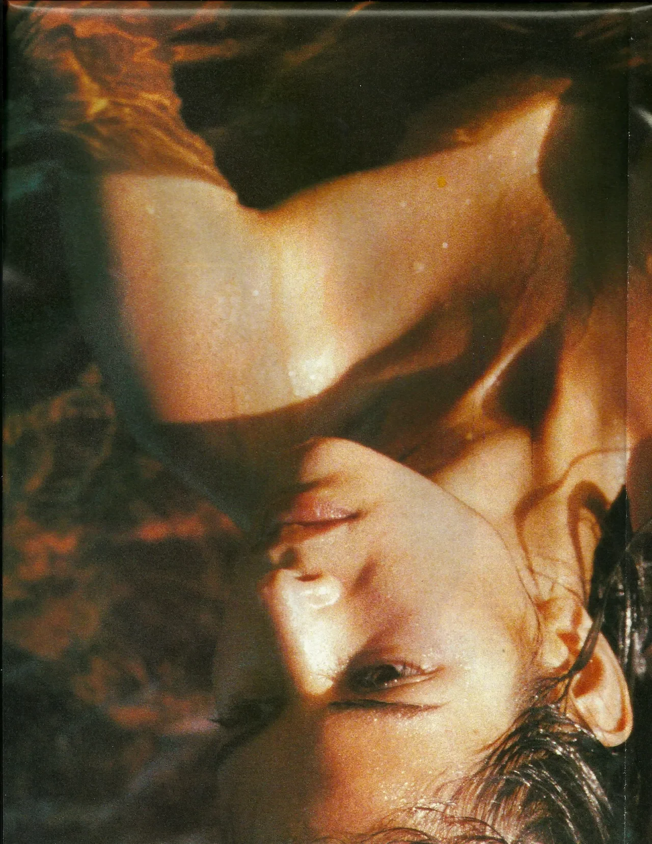 13.webp
