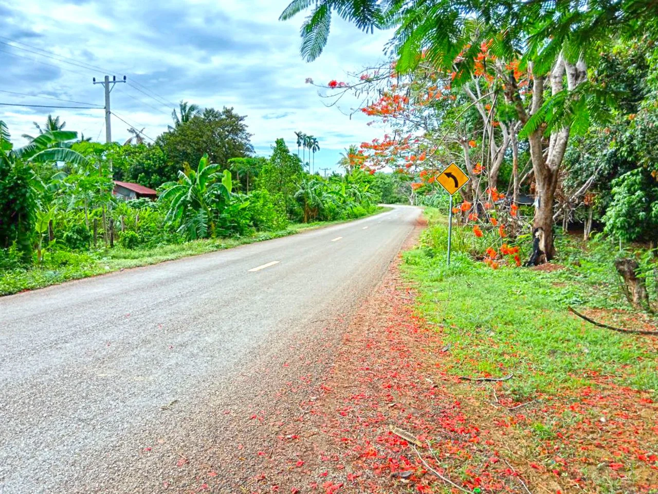 Battambang Tours - 1 day