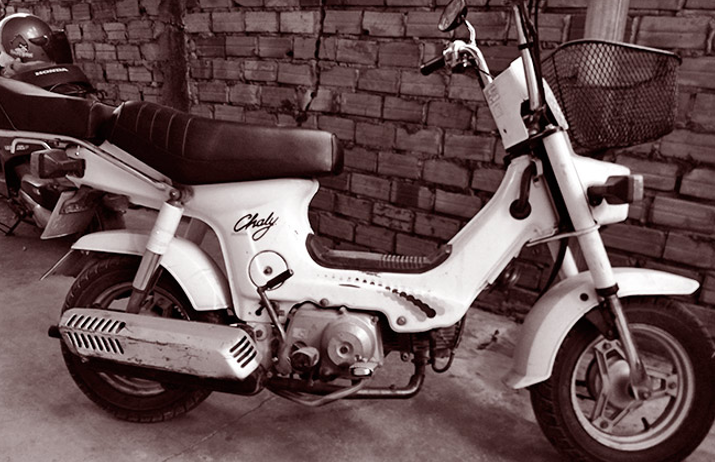 Honda Chaly CF50 Stock