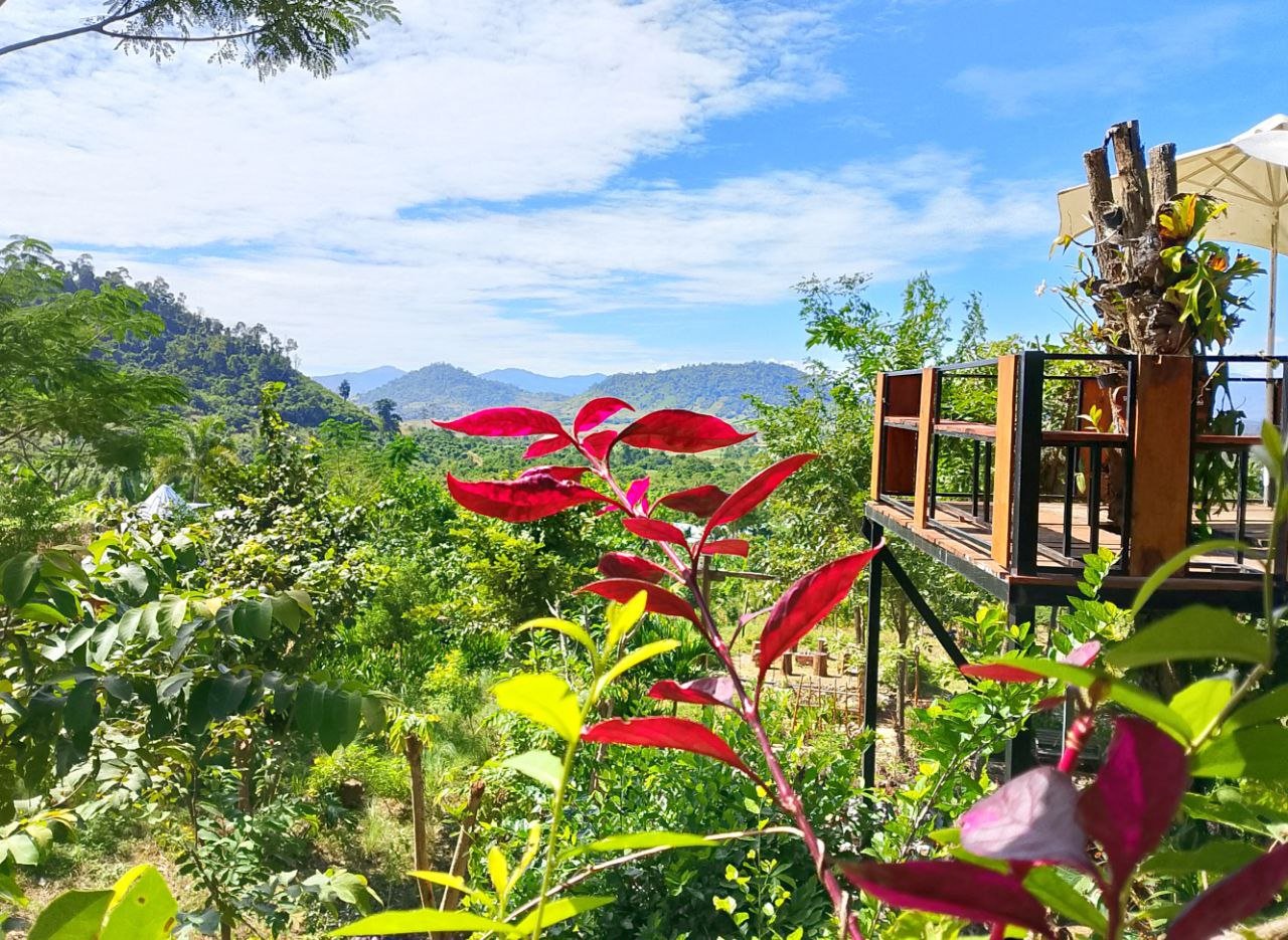 View over the Cambodian countryside jungle and mountains from a resort