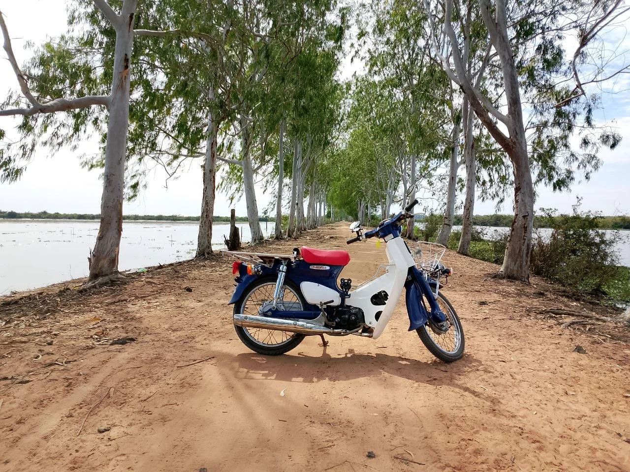Classic small Honda Super Cub motorbike on a dirt road with trees in the middle of the Tonle Sap lake in Cambodia