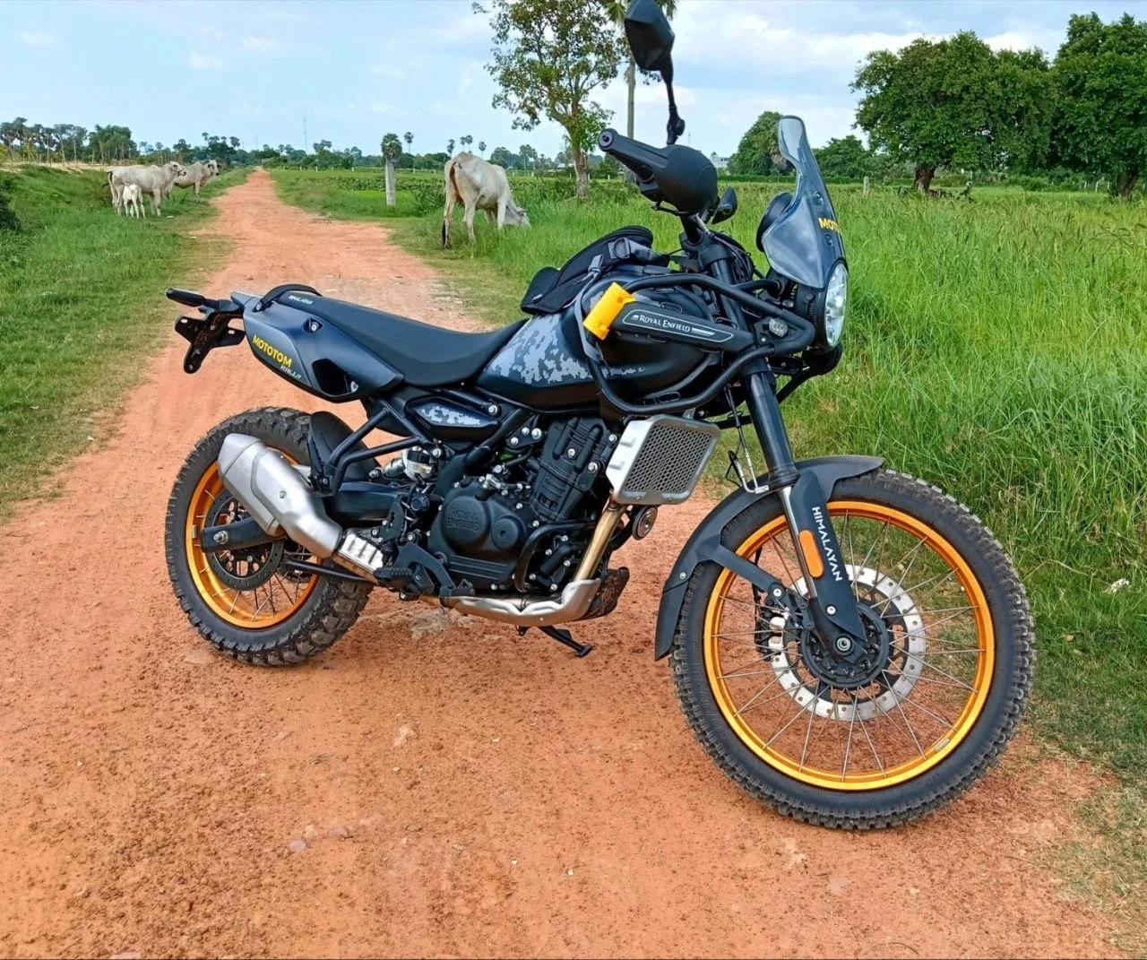 Black Royal Enfield Himalayan 450 Rally motorbike in front of a rice field and Cambodian landscape