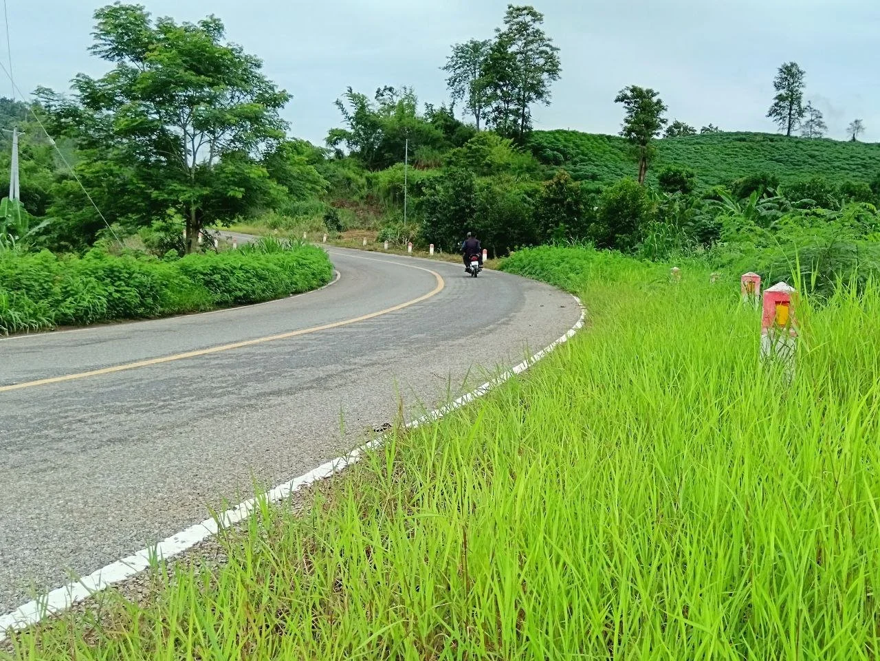 Curvy paved road in a green landscape of Cambodia with a local motorbike passing by