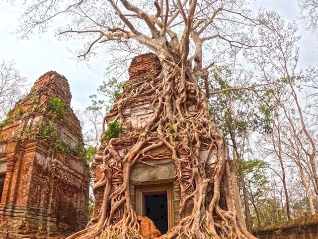 Siem Reap Tours - 1 day