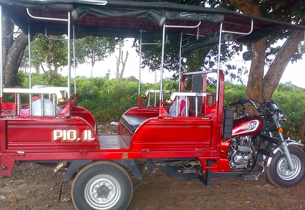 Pioneer 250 Tricycle