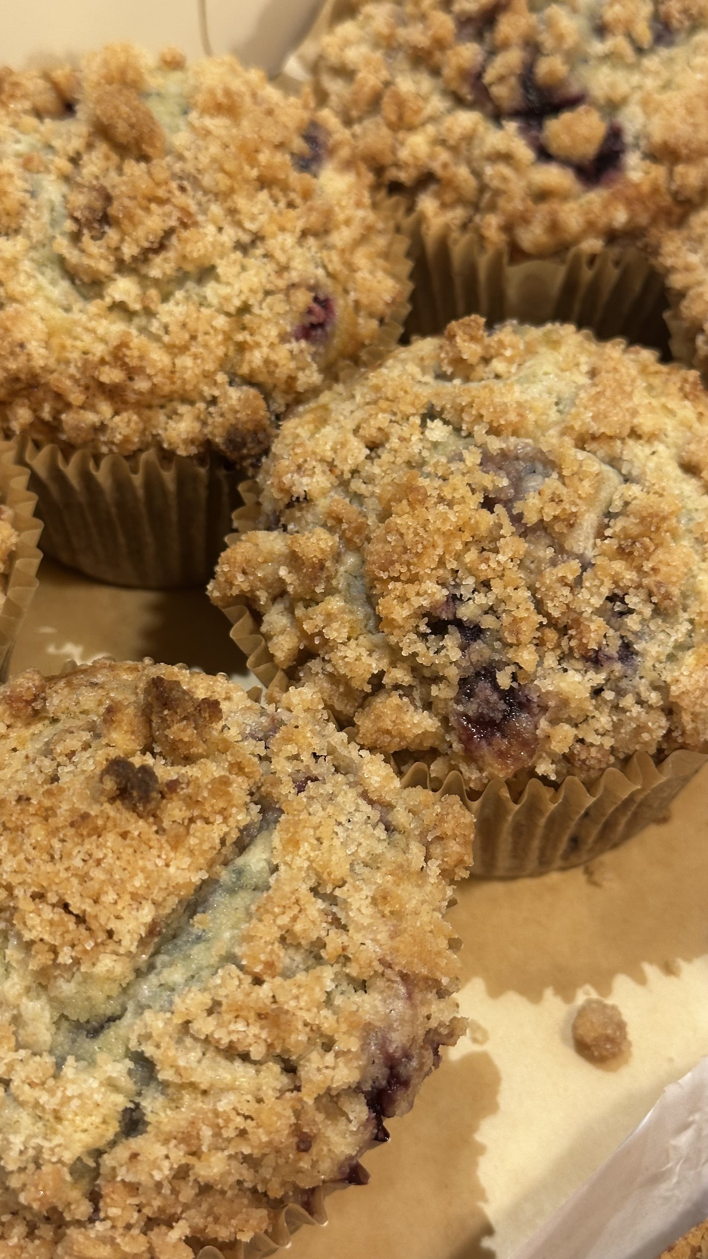 Jumbo Muffins