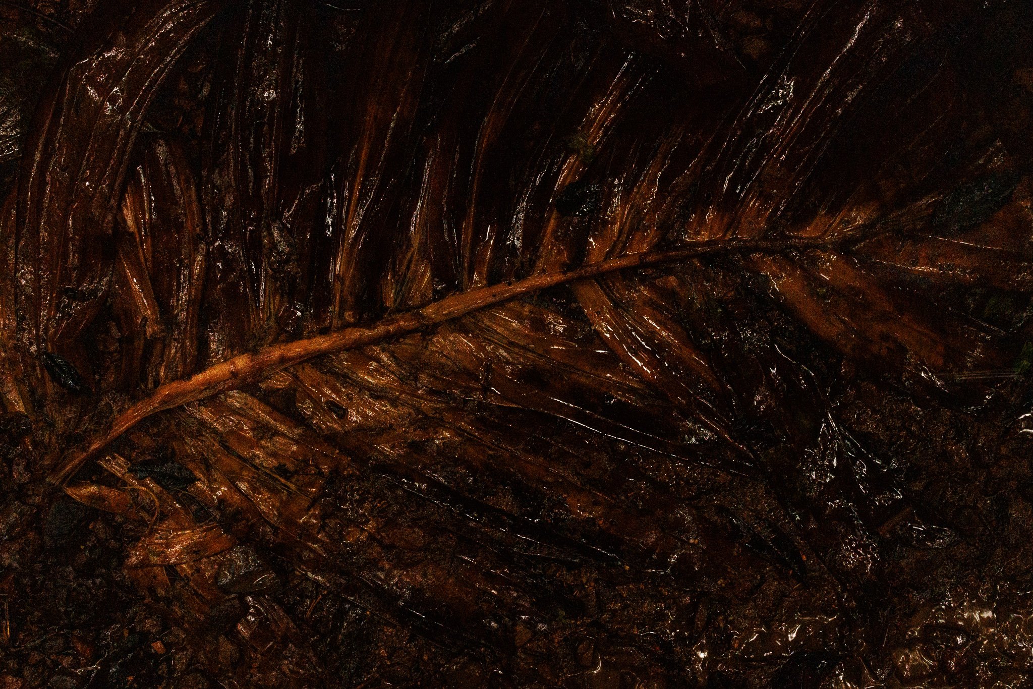 Resonances-2.jpg