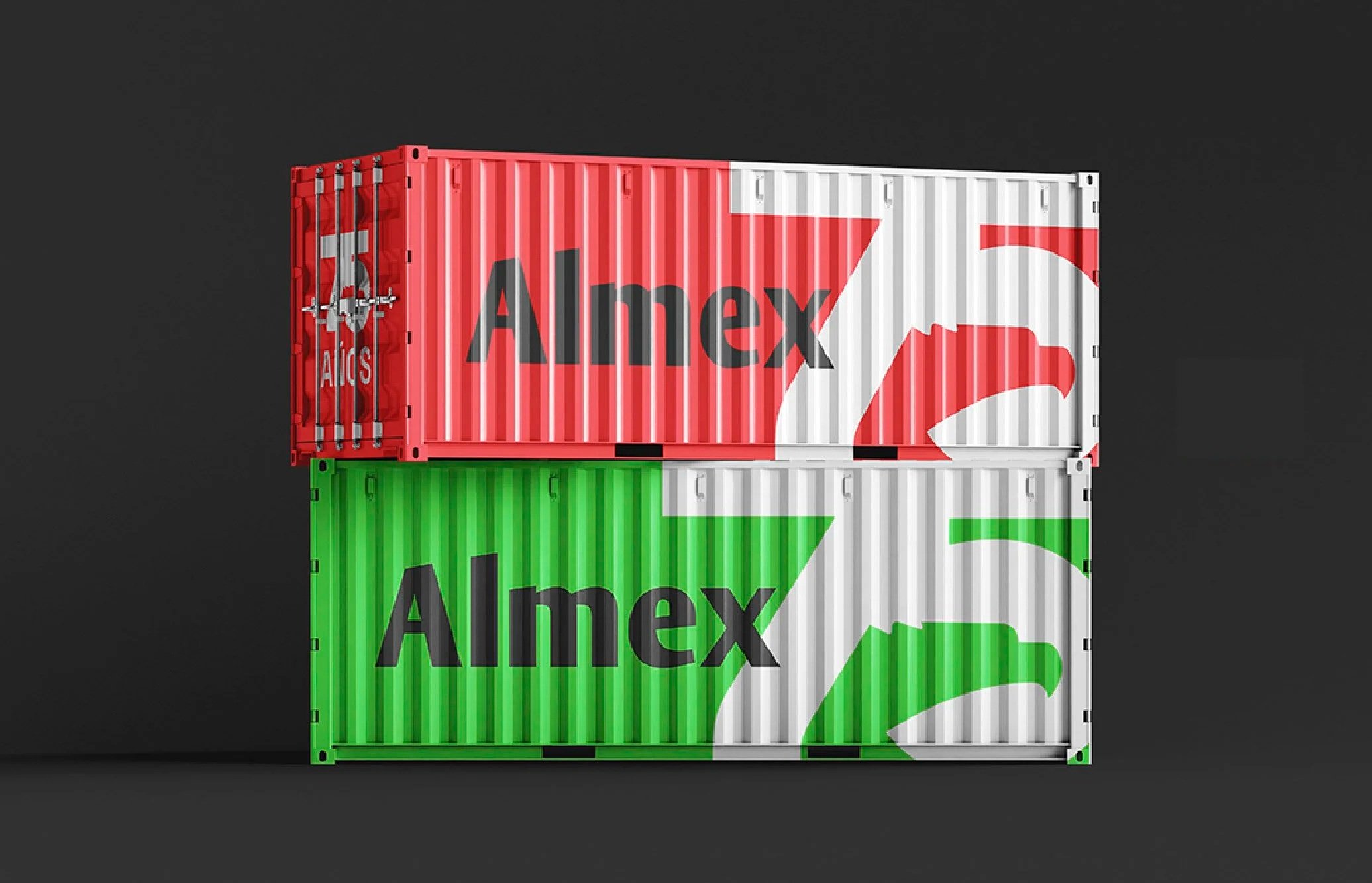 Container - 75aniversario Almex - FNMNS