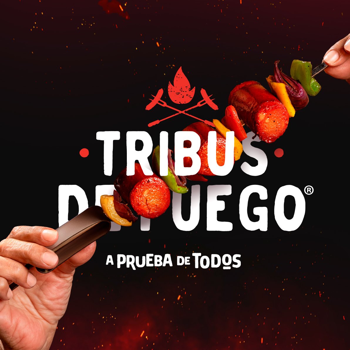 Concept - TDF - A prueba de todos - FNMNS