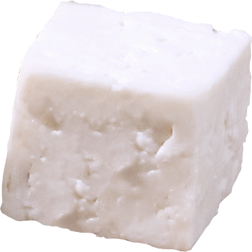 Quesito panela  Mantén Fresco el Antojo - La villita - FNMNS