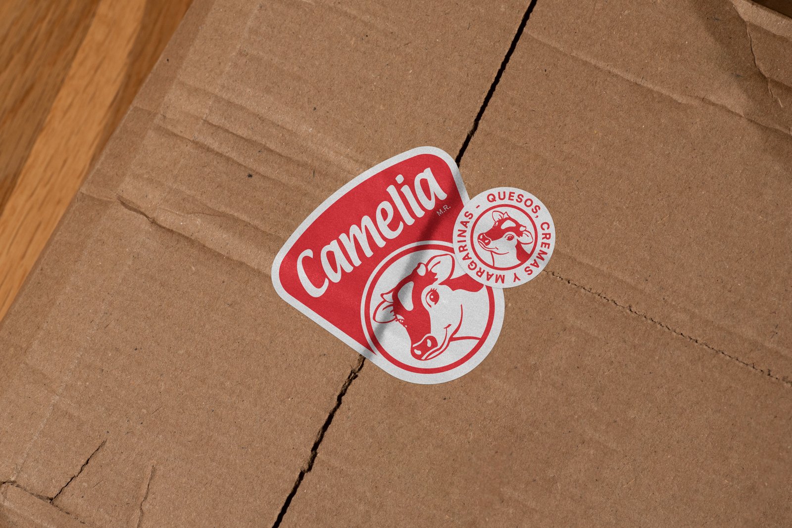 Stickers package - Para los que le saben - Camelia - FNMNS