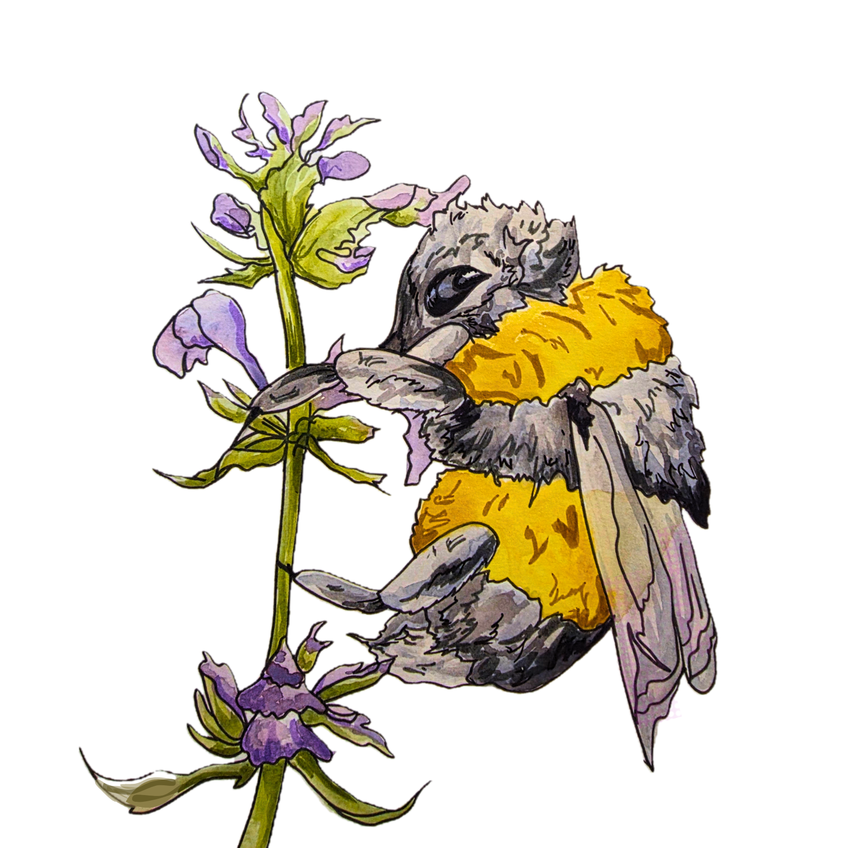 bee.png
