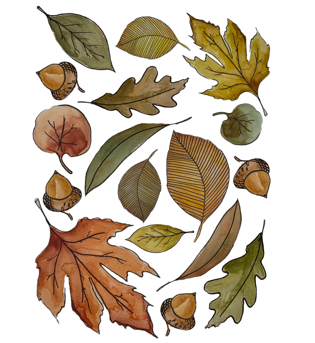 Falling Leaves - Ojas Callendo