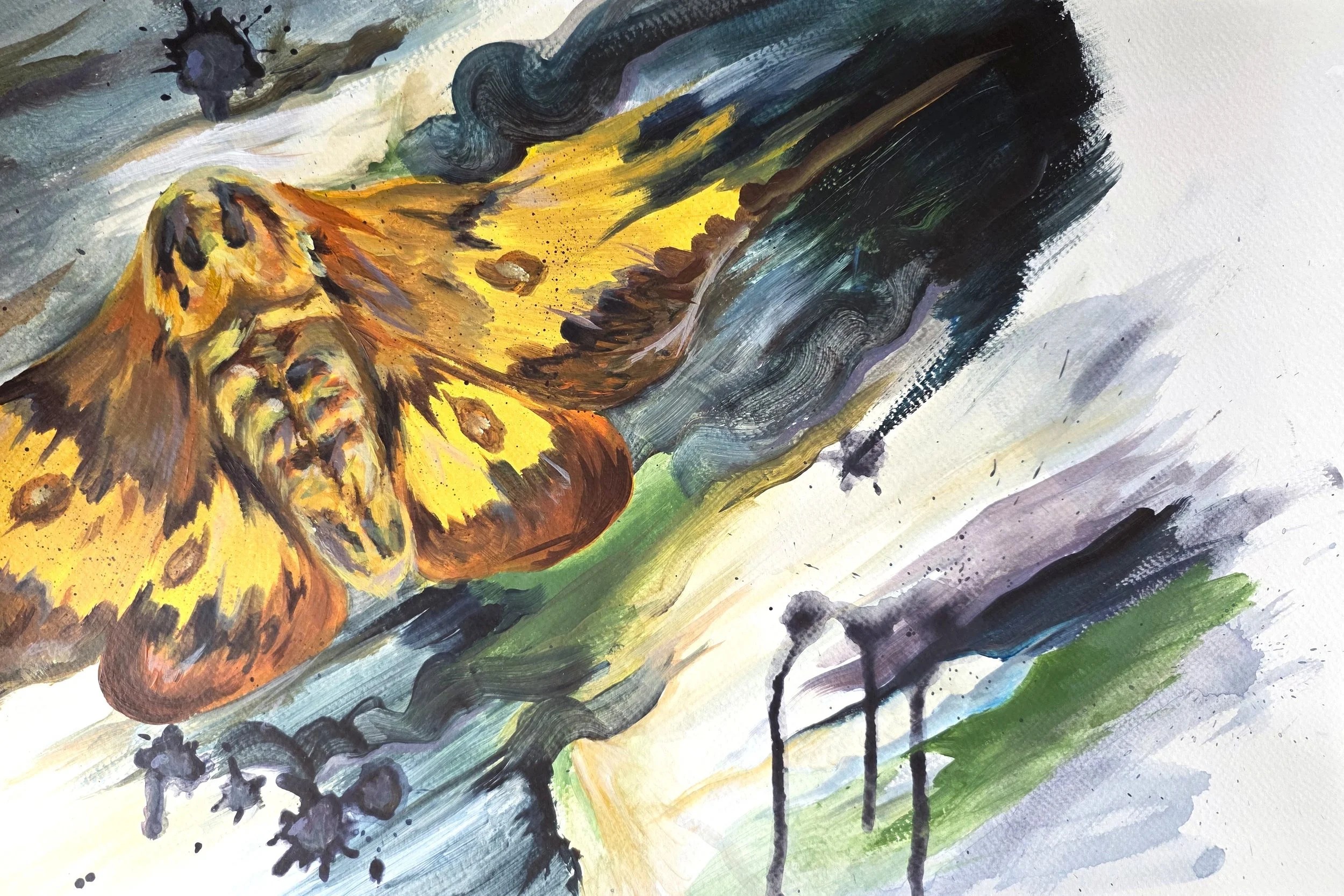 356_03a965ea2d322361dcfd0ea4aa516acd-8_27_2025, 4_22_01 PM.jpg