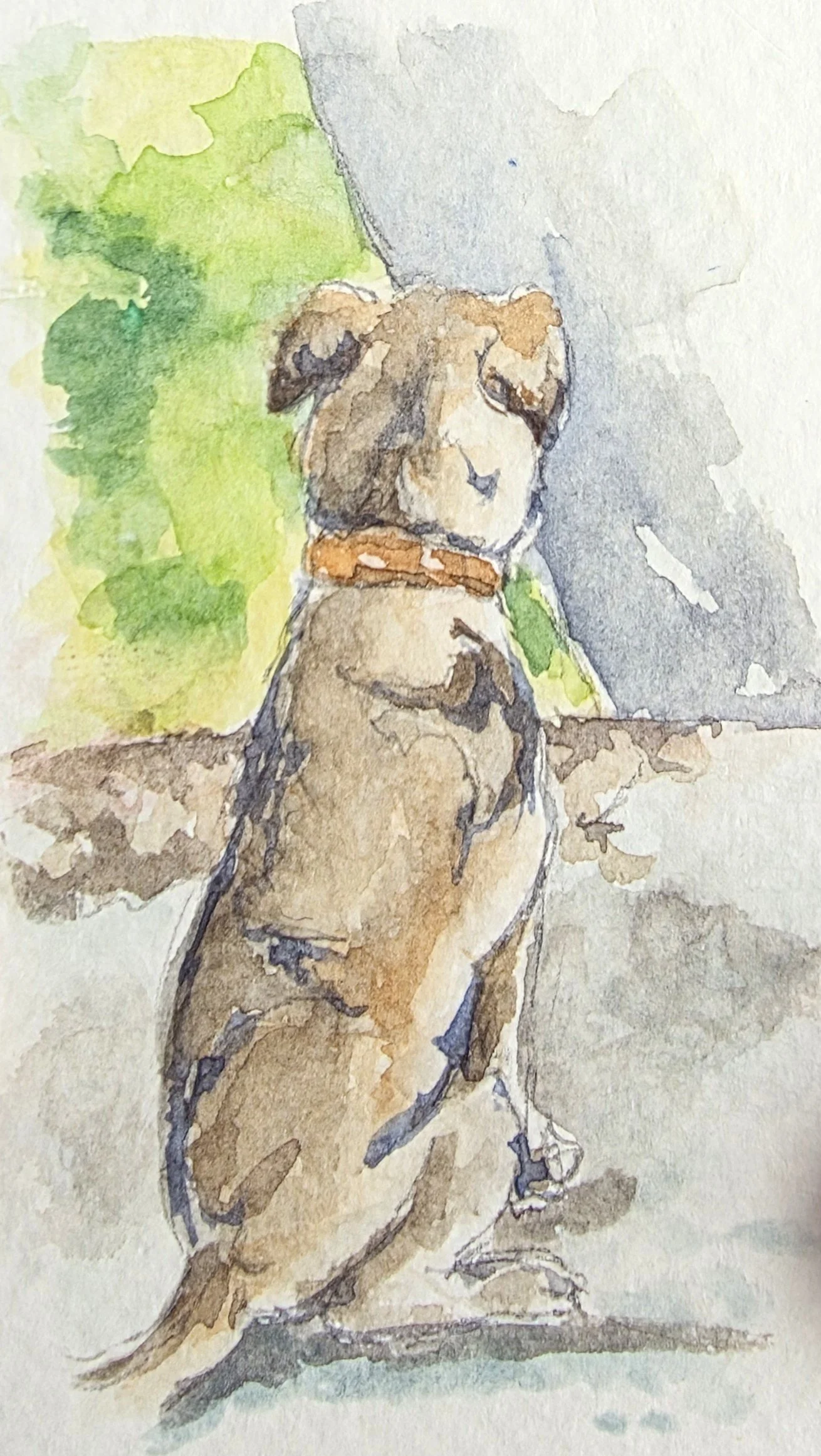 Patiently waiting - Fenrir